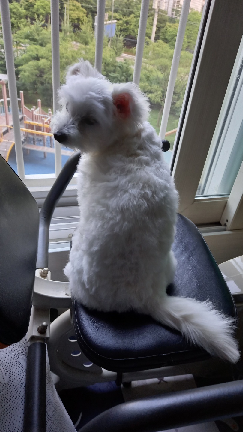 곤지암 그오(봄이) 3개월차 후기입니다!