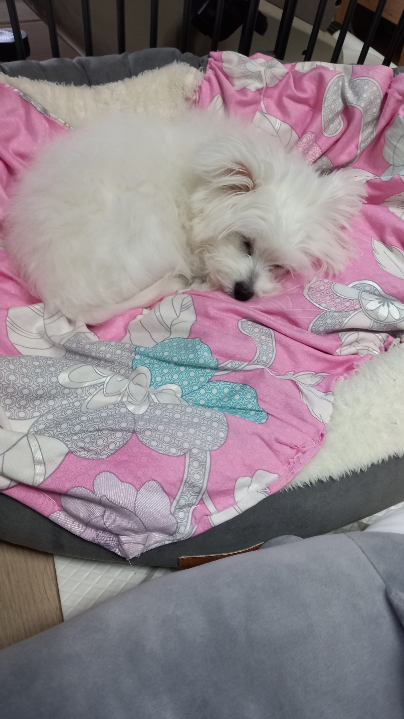 곤지암 그오(봄이) 3개월차 후기입니다!