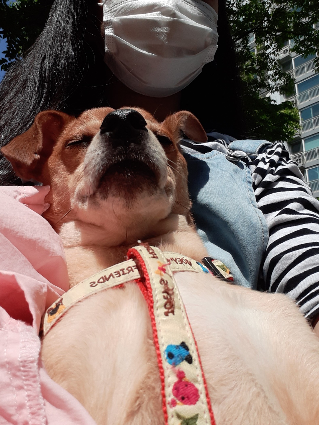 다온이 소식전해요♡