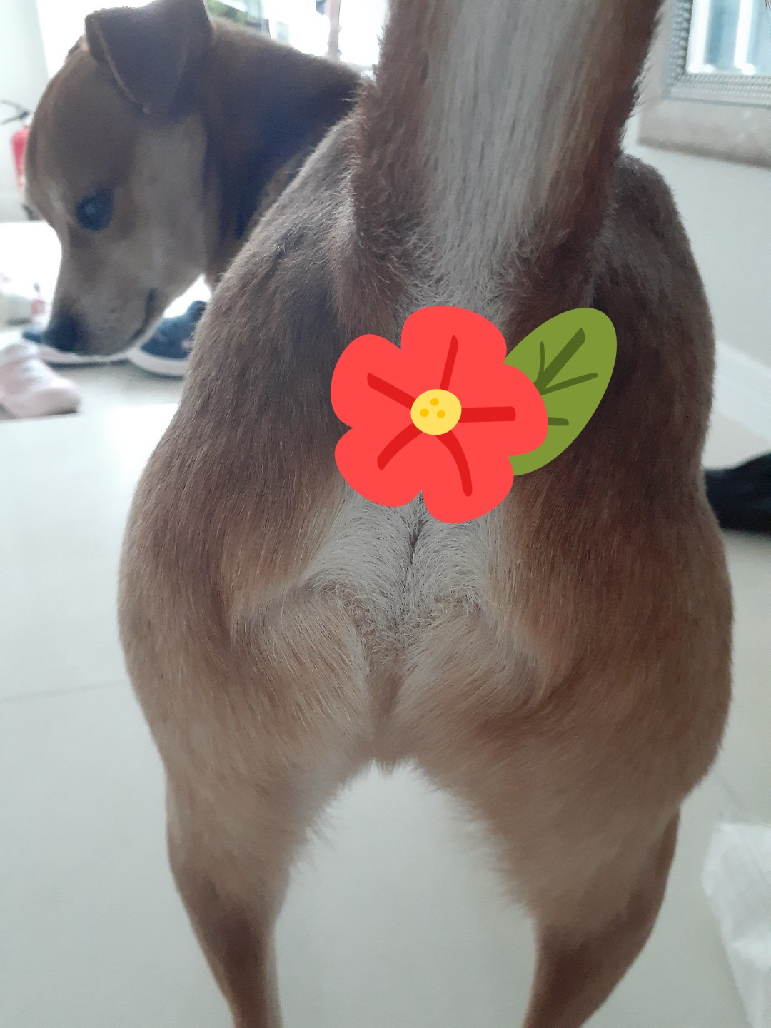 다온이 소식전해요♡