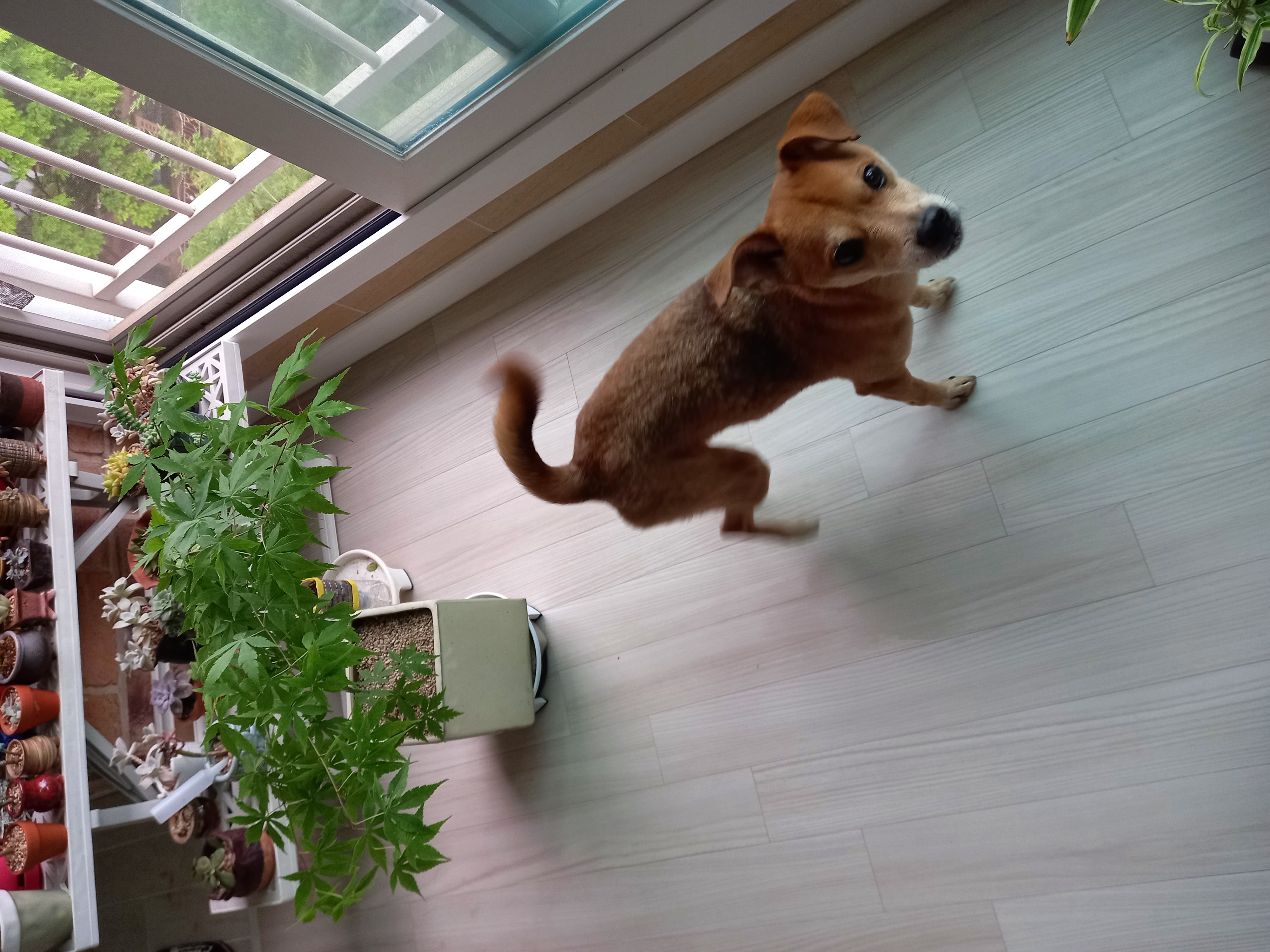 다온이 소식전해요♡