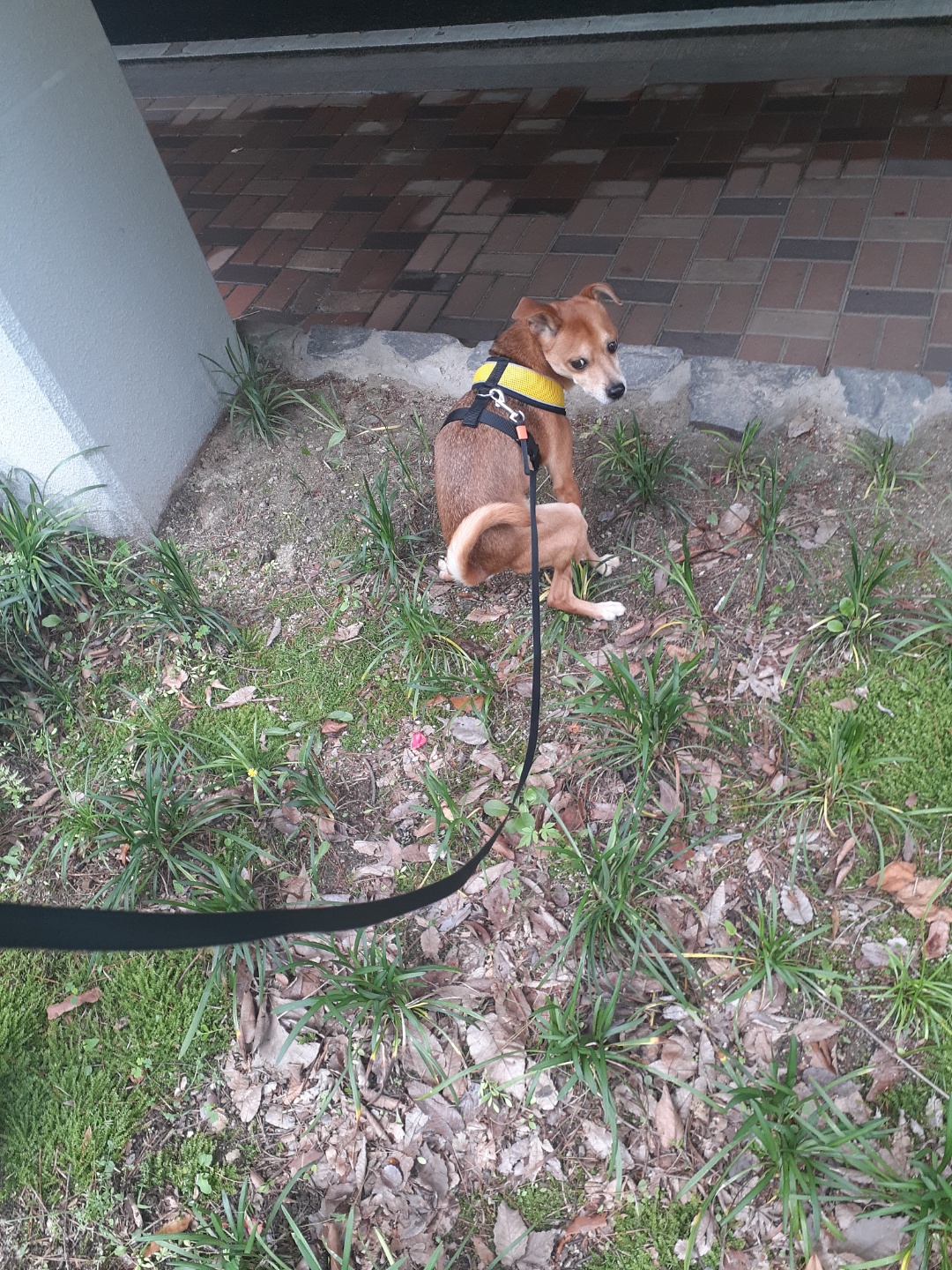 다온이 소식전해요♡