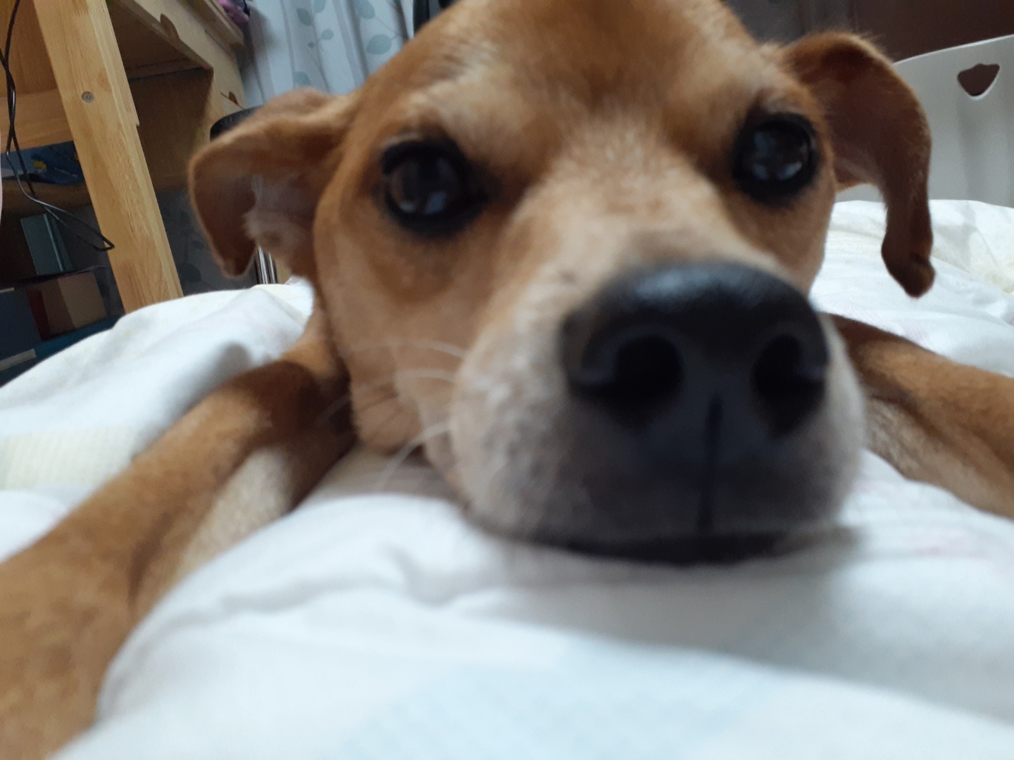 다온이 소식전해요♡