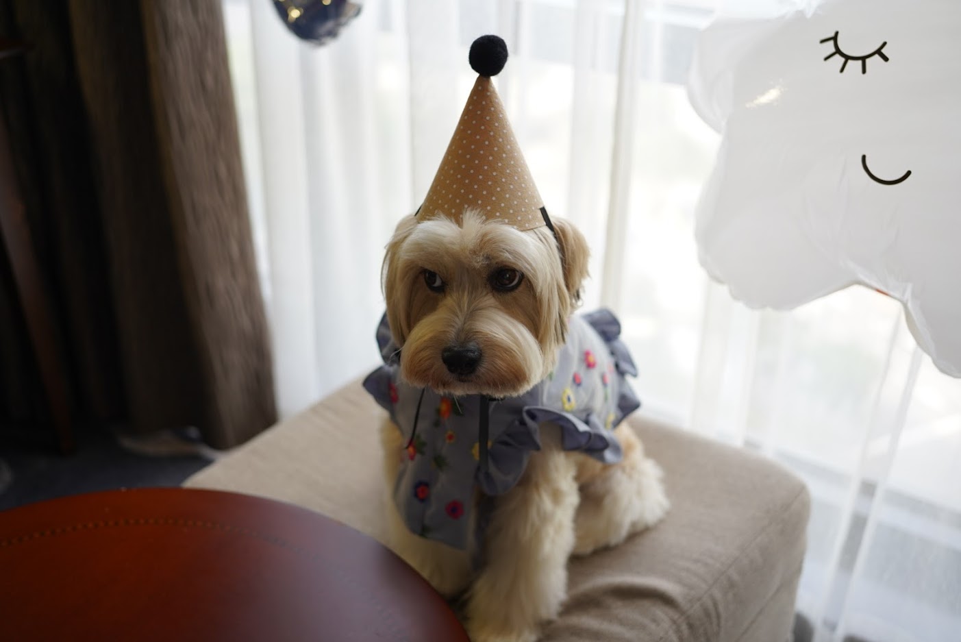 봉구 6살 생일 파티 ~ ^^