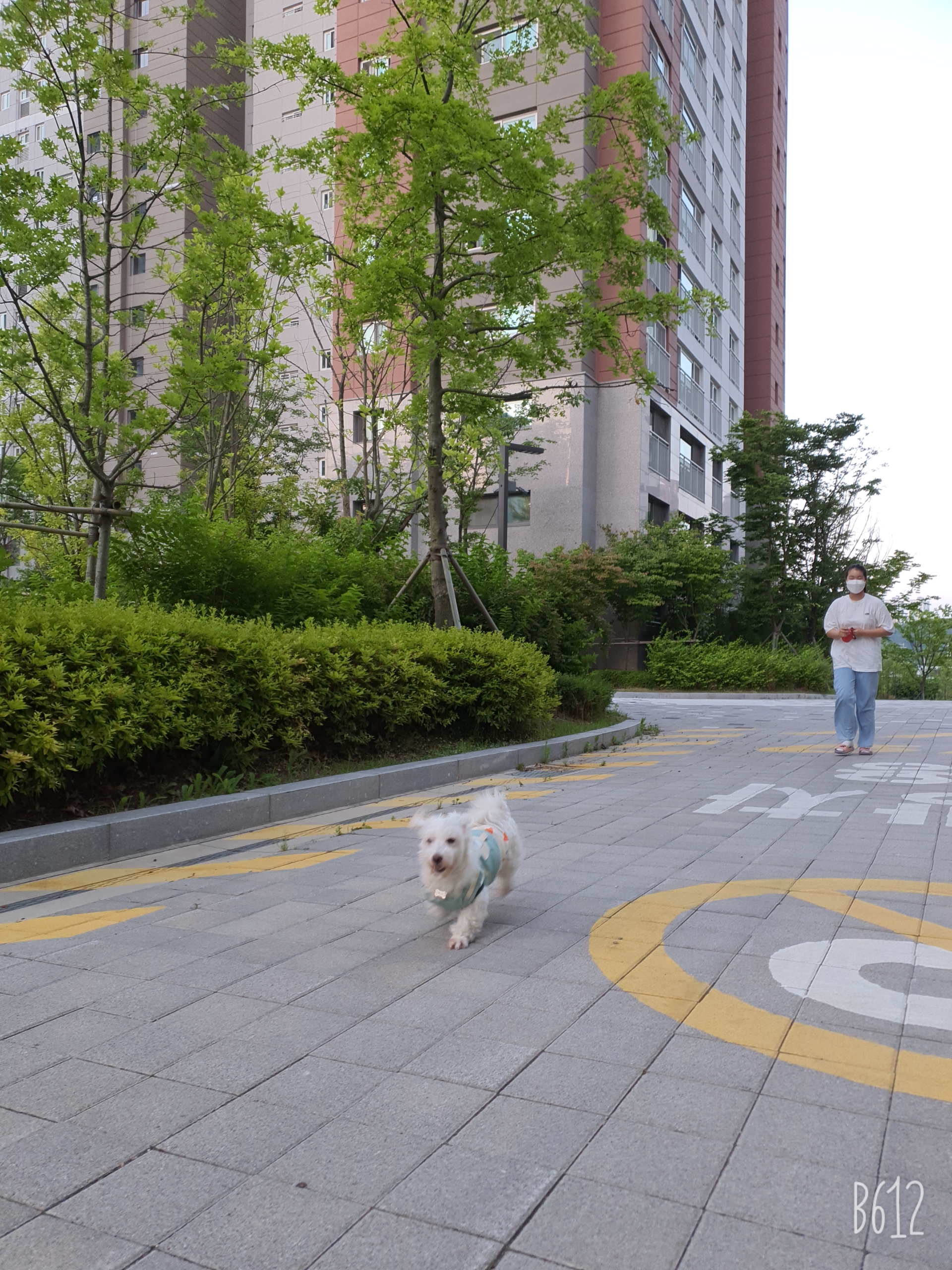 곤지암 엘사 입양한달 후기!!