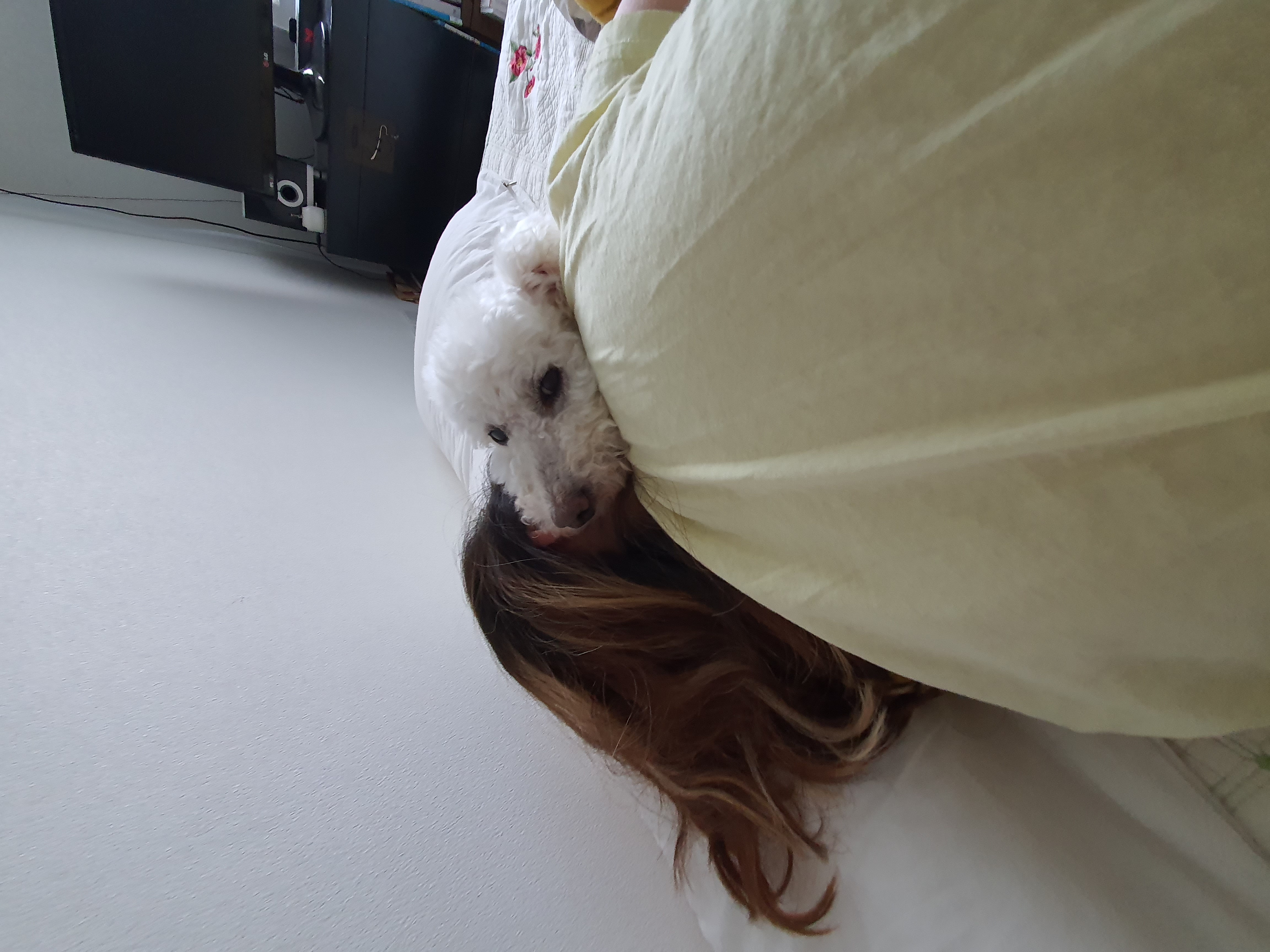 고다 (레일이) 입양 한달 후기 !!