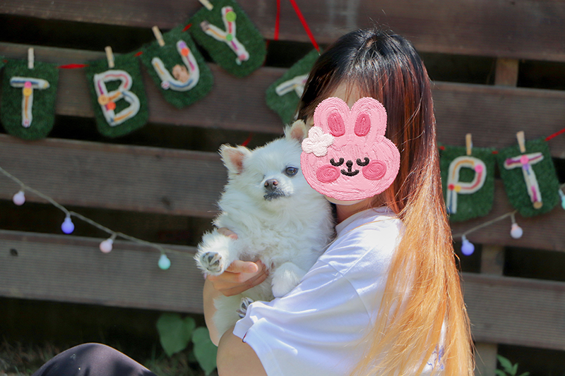 첫눈에 반한 그림이(곤지암-14)를 입양하기까지