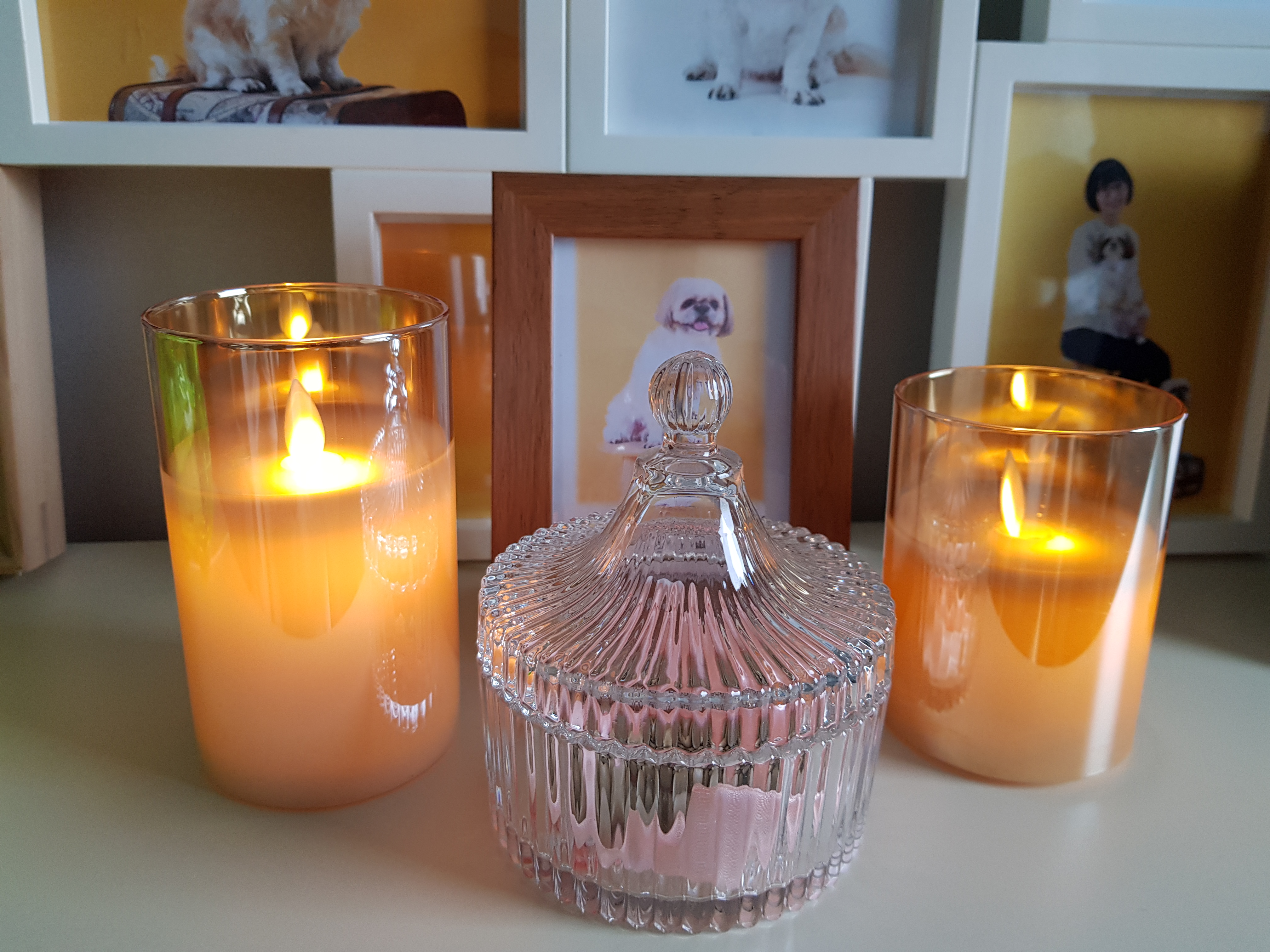 코미가 무지개다리를 건넜어요..