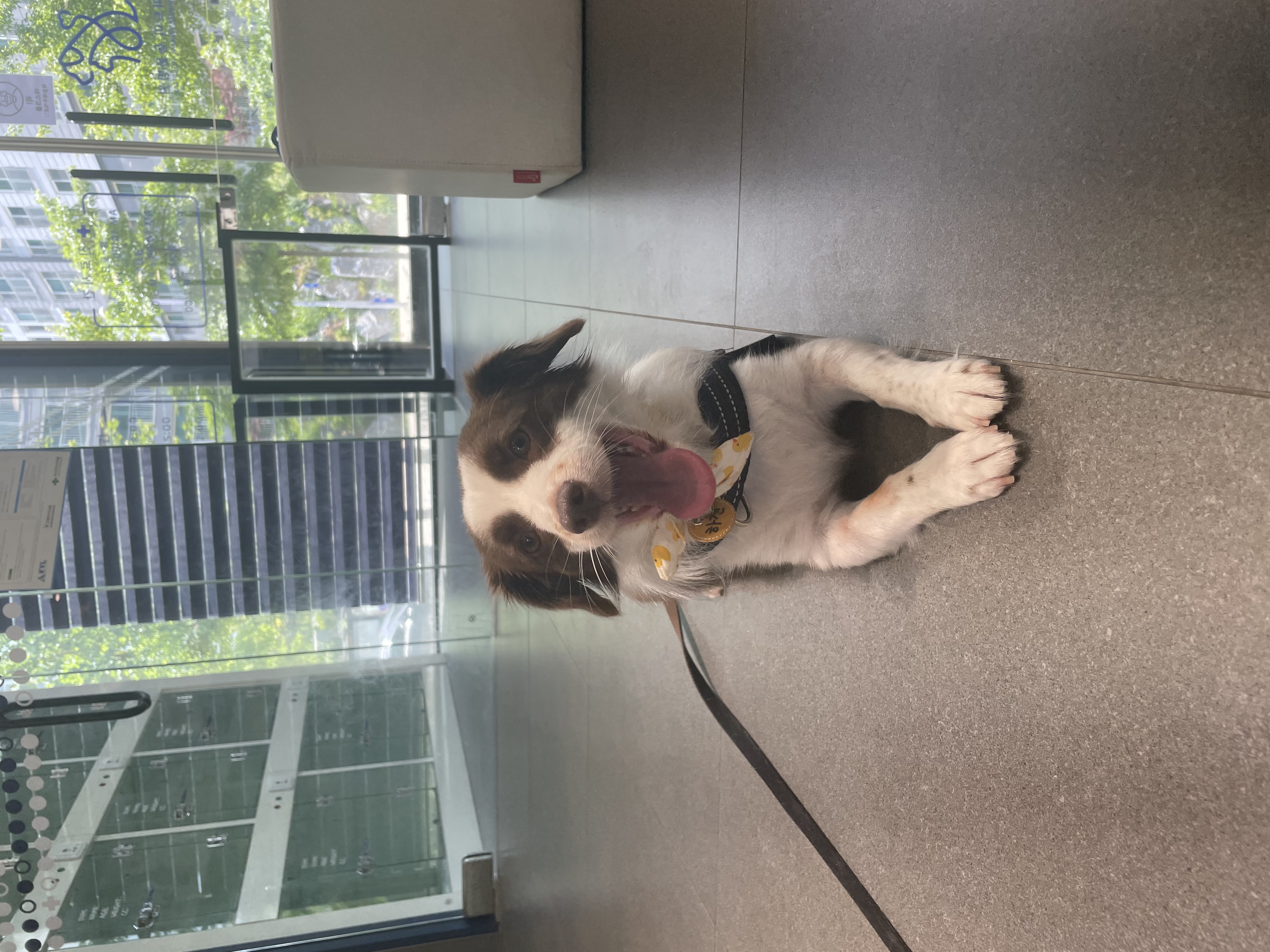 하겐이 소식 전해용