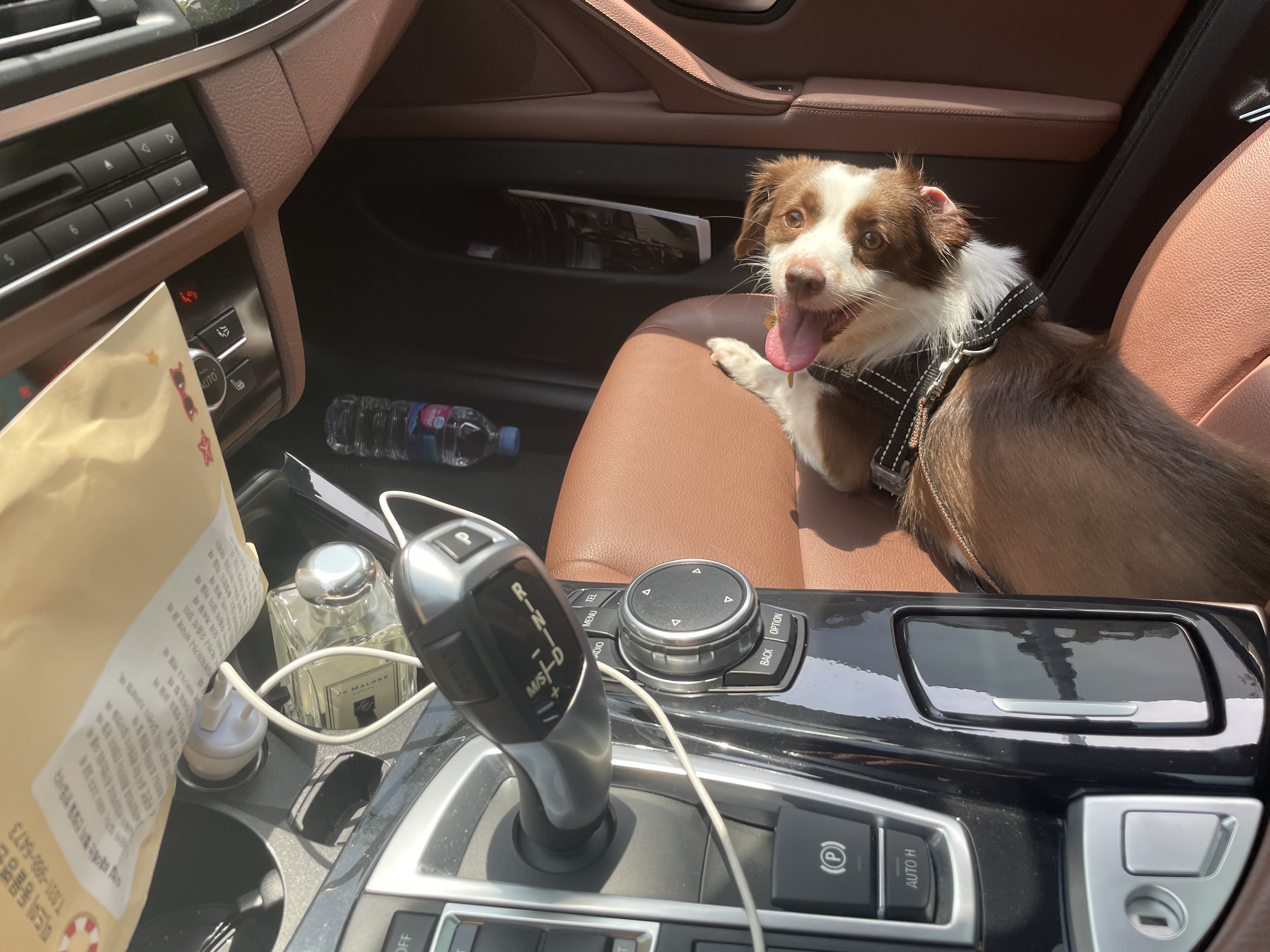 하겐이 소식 전해용