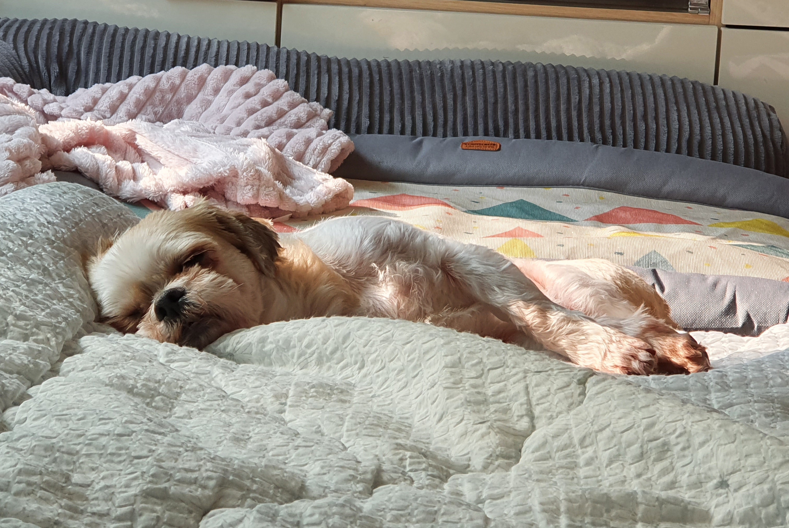 오랜만에 조아입니당~