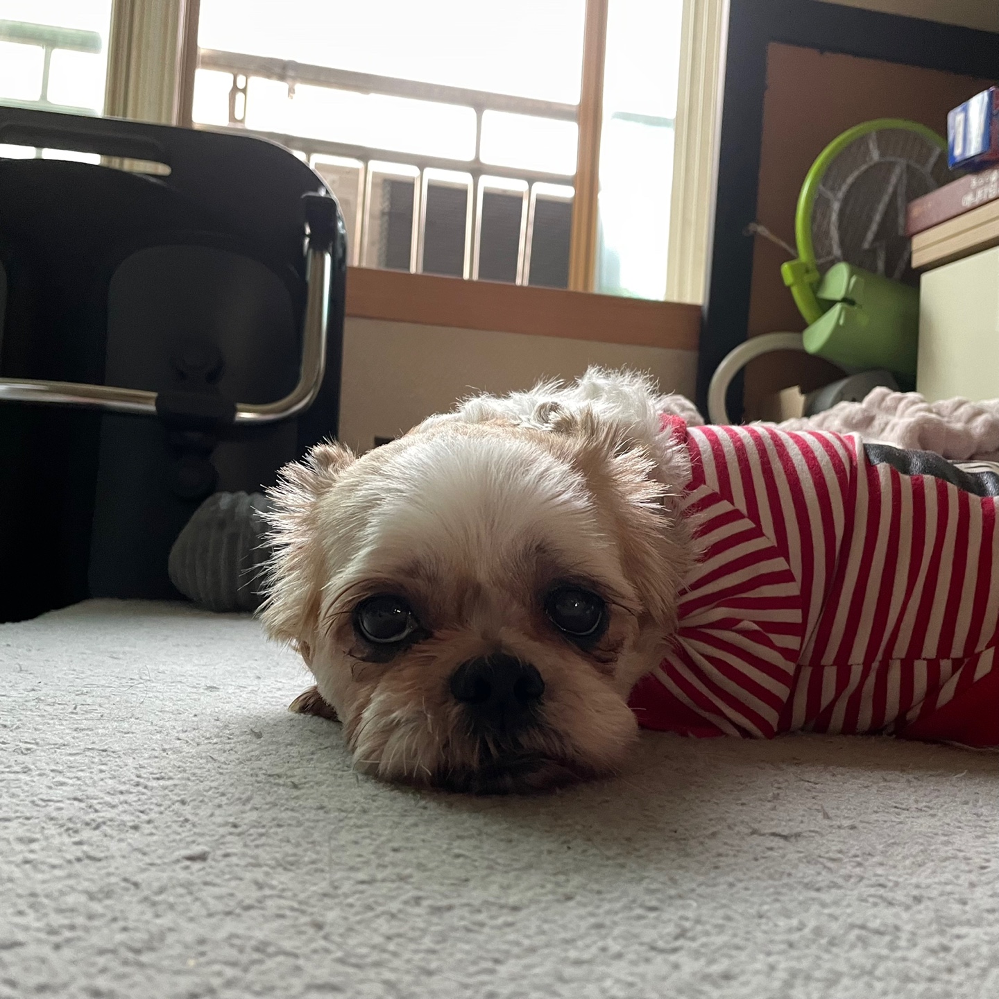 오랜만에 조아입니당~