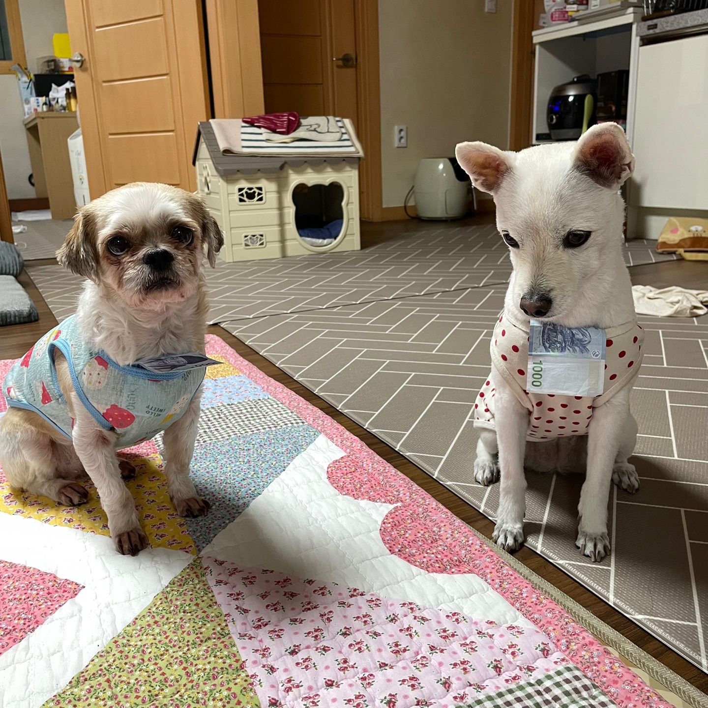 오랜만에 조아입니당~