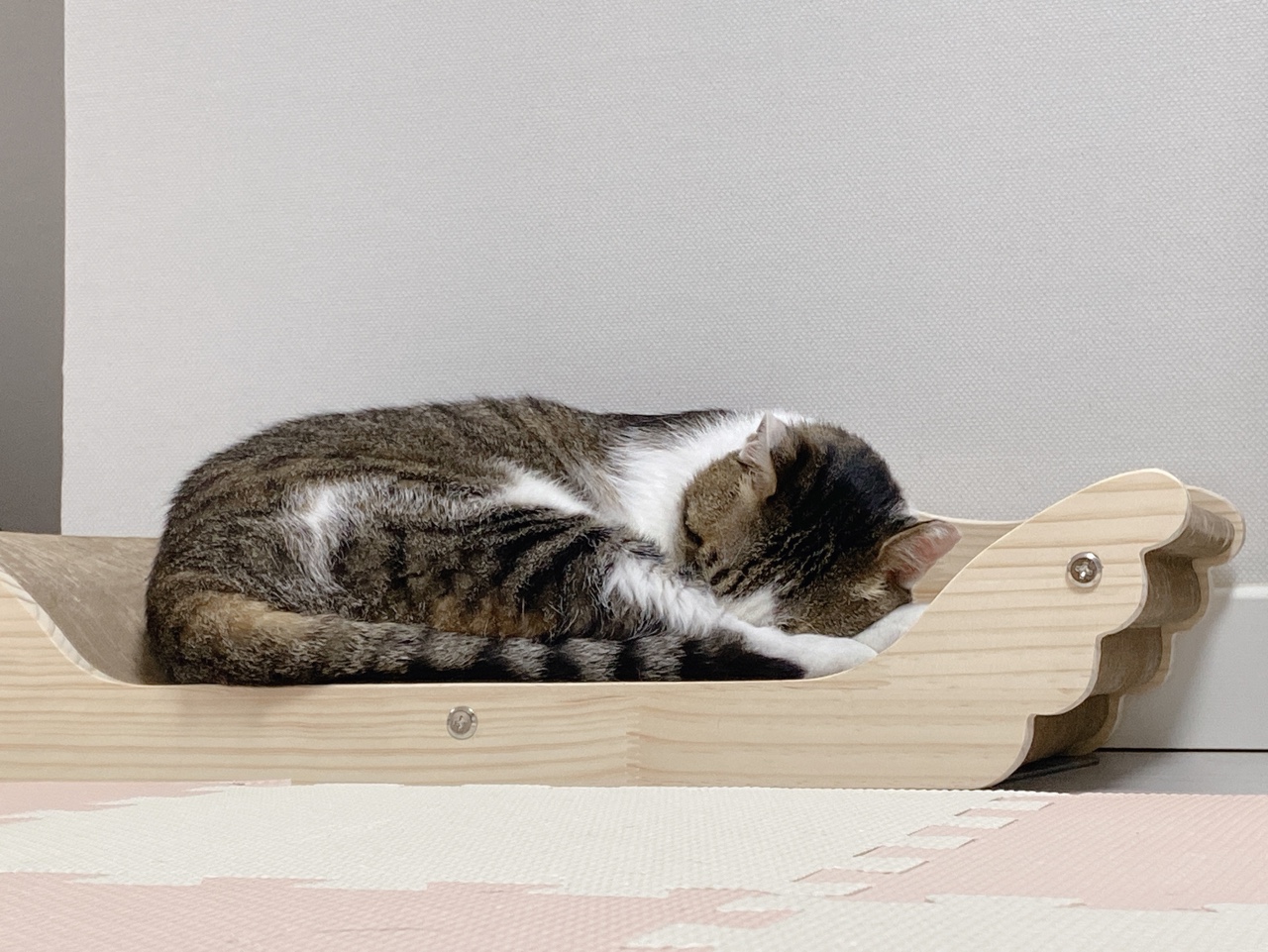 아띠가 넘 귀여워서 올려요~^^