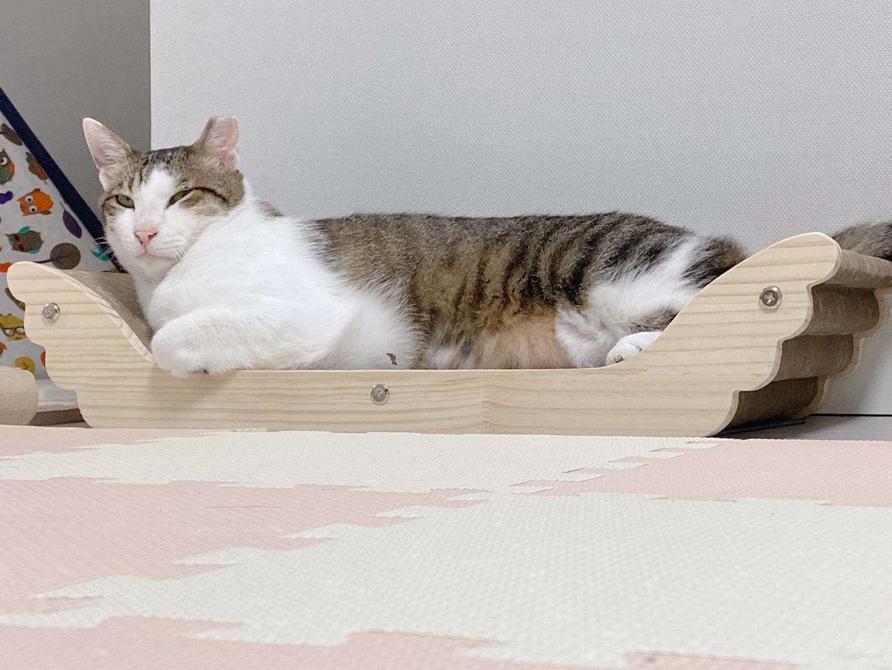 아띠가 넘 귀여워서 올려요~^^