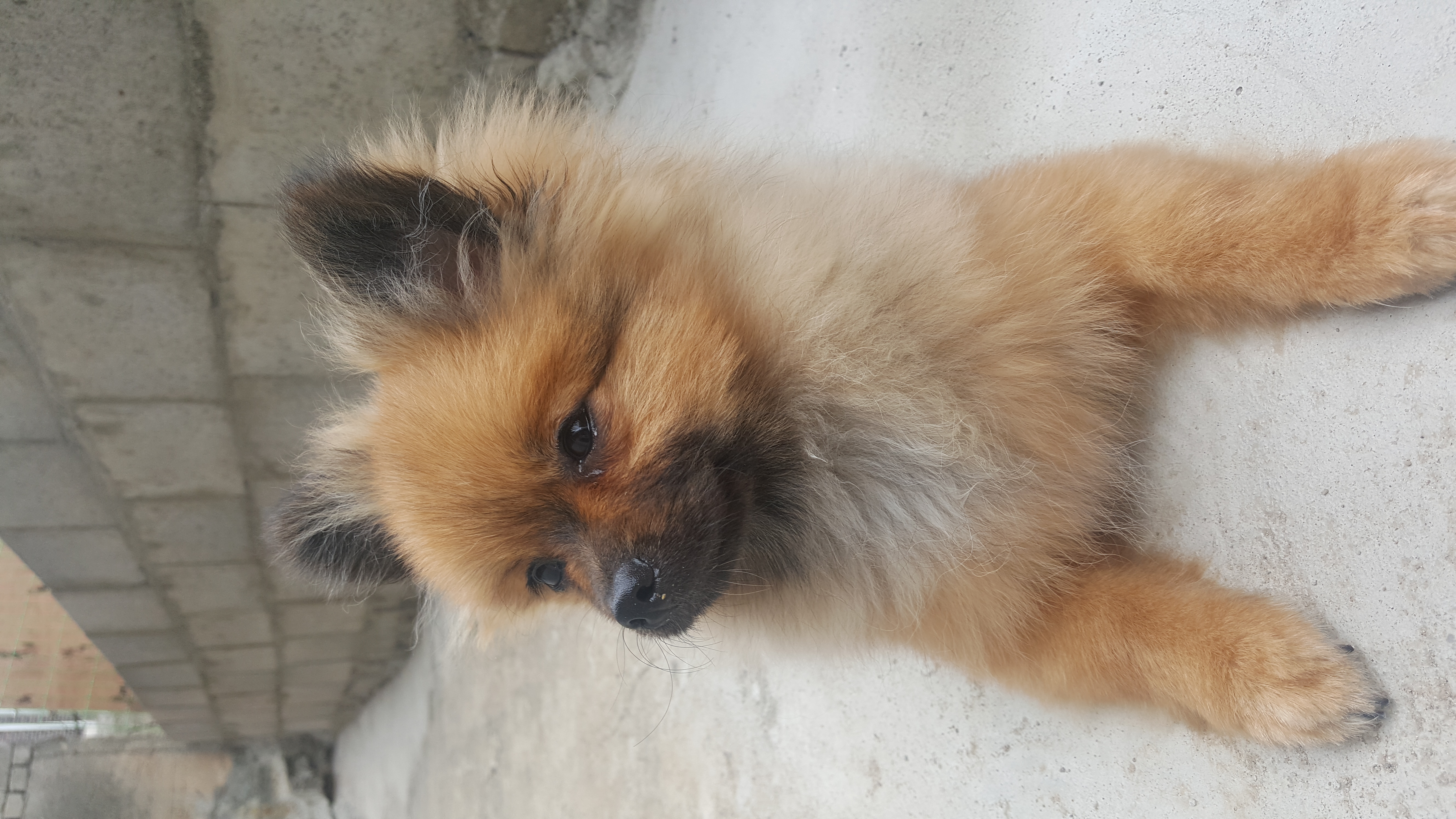 러비 한달됐어요♡