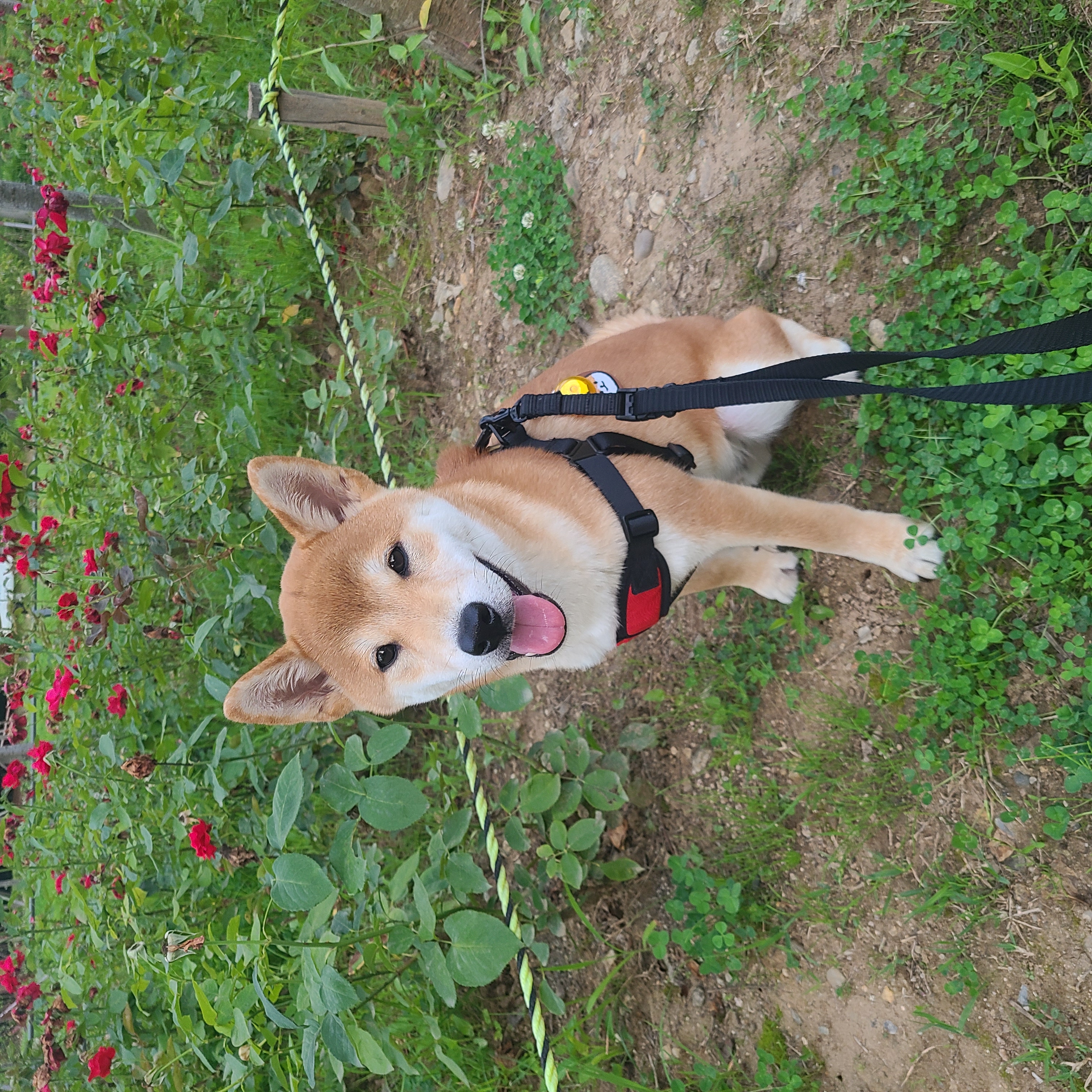 곤지암 세시 3달 ❤