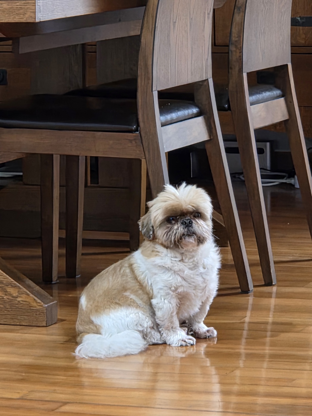 탱자탱구 5년차 후기