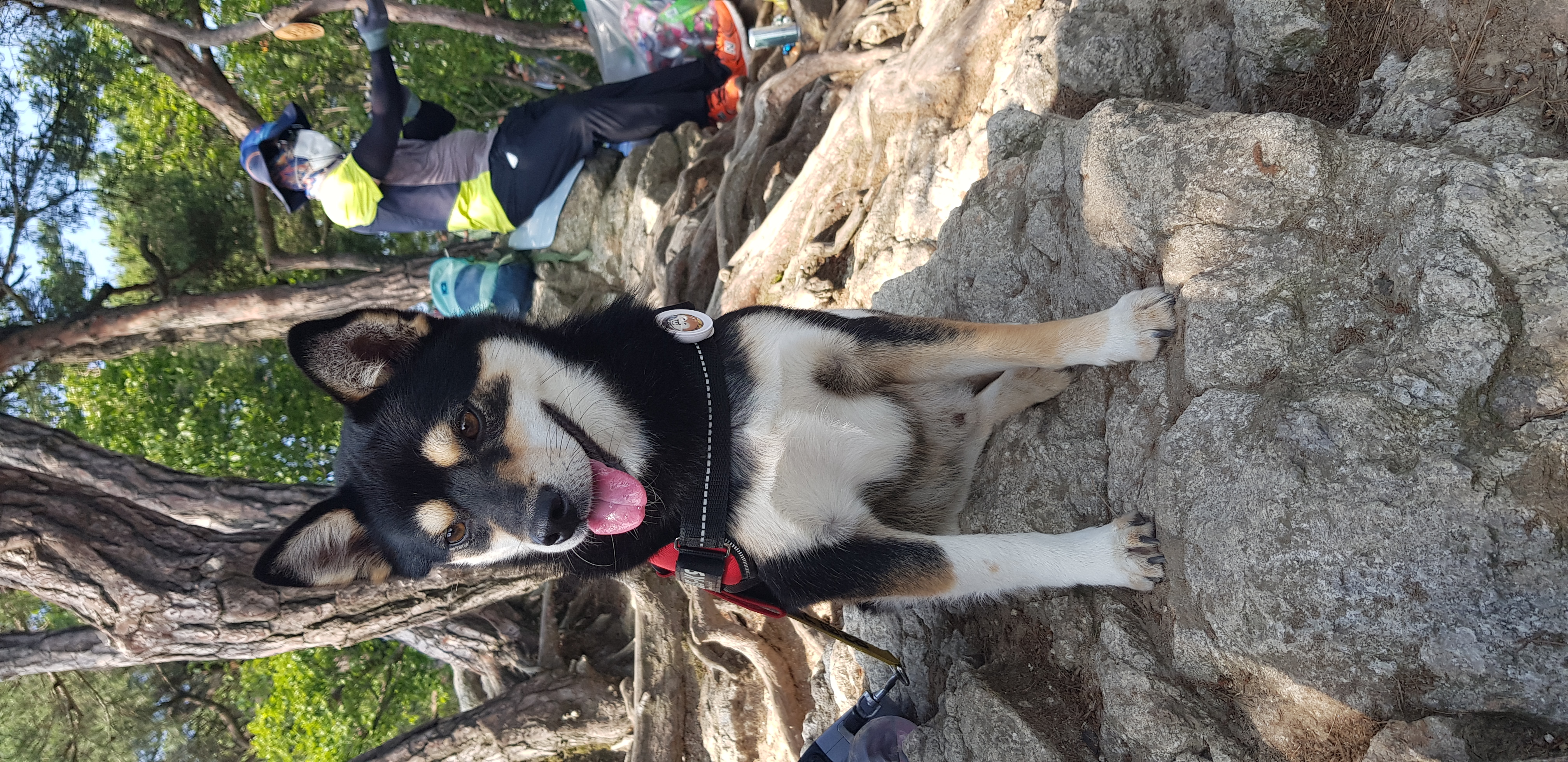 후추 (우주) 입양 331일 후기