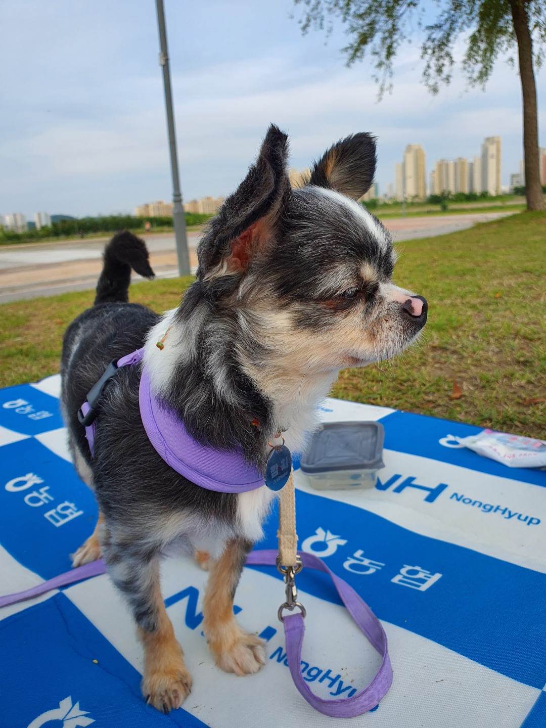 별(깜치) 소식 전해드려요