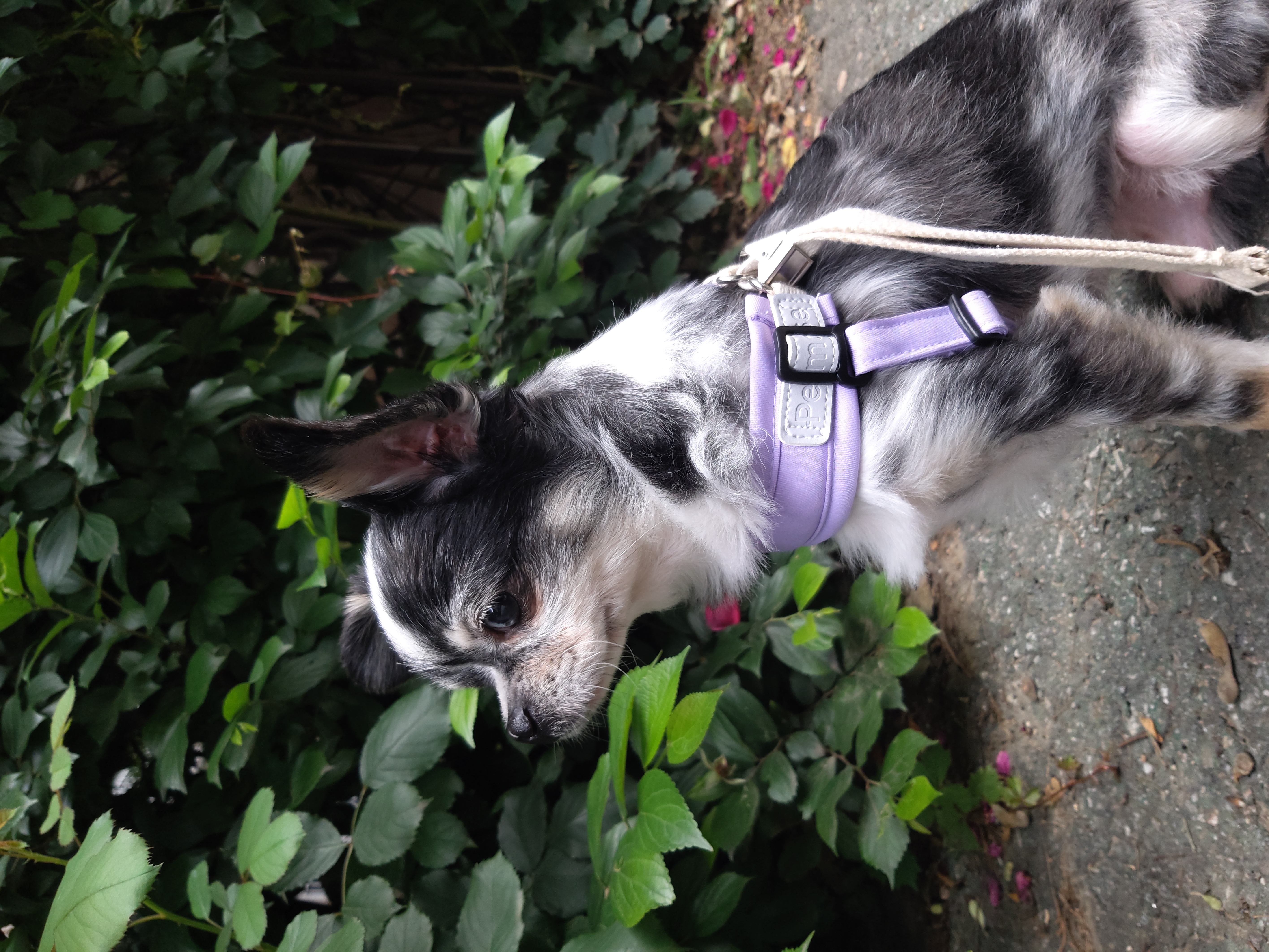 별(깜치) 소식 전해드려요