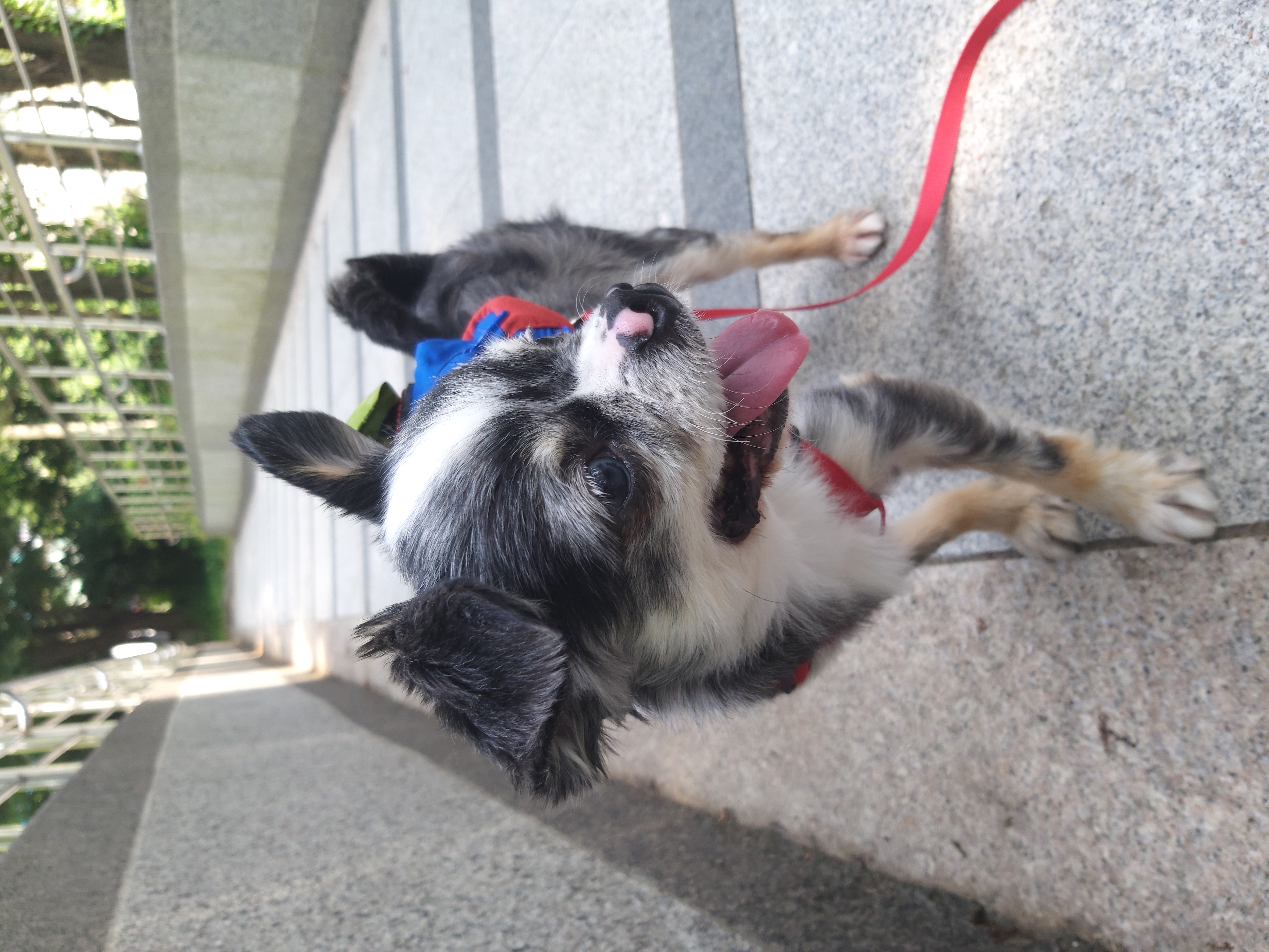 별(깜치) 소식 전해드려요