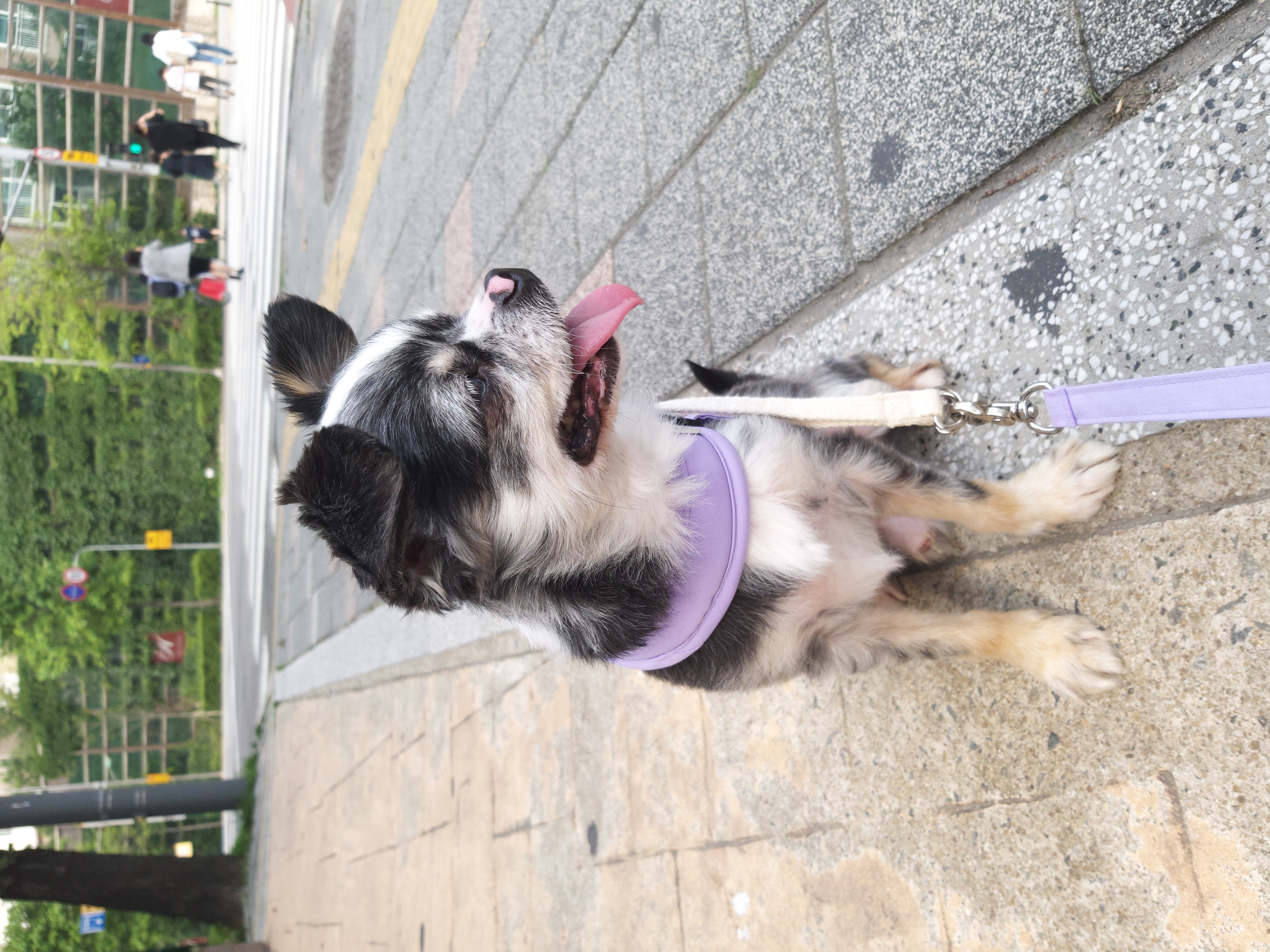 별(깜치) 소식 전해드려요