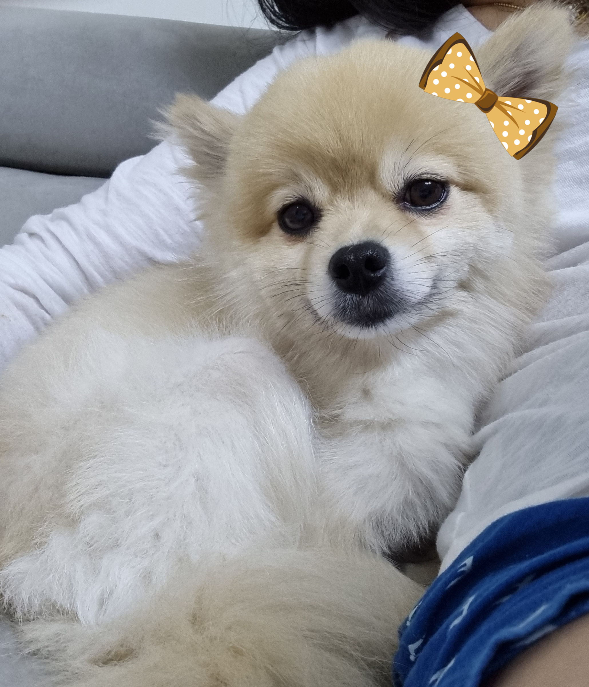 달이(온새)의 3개월차 이야기~♡