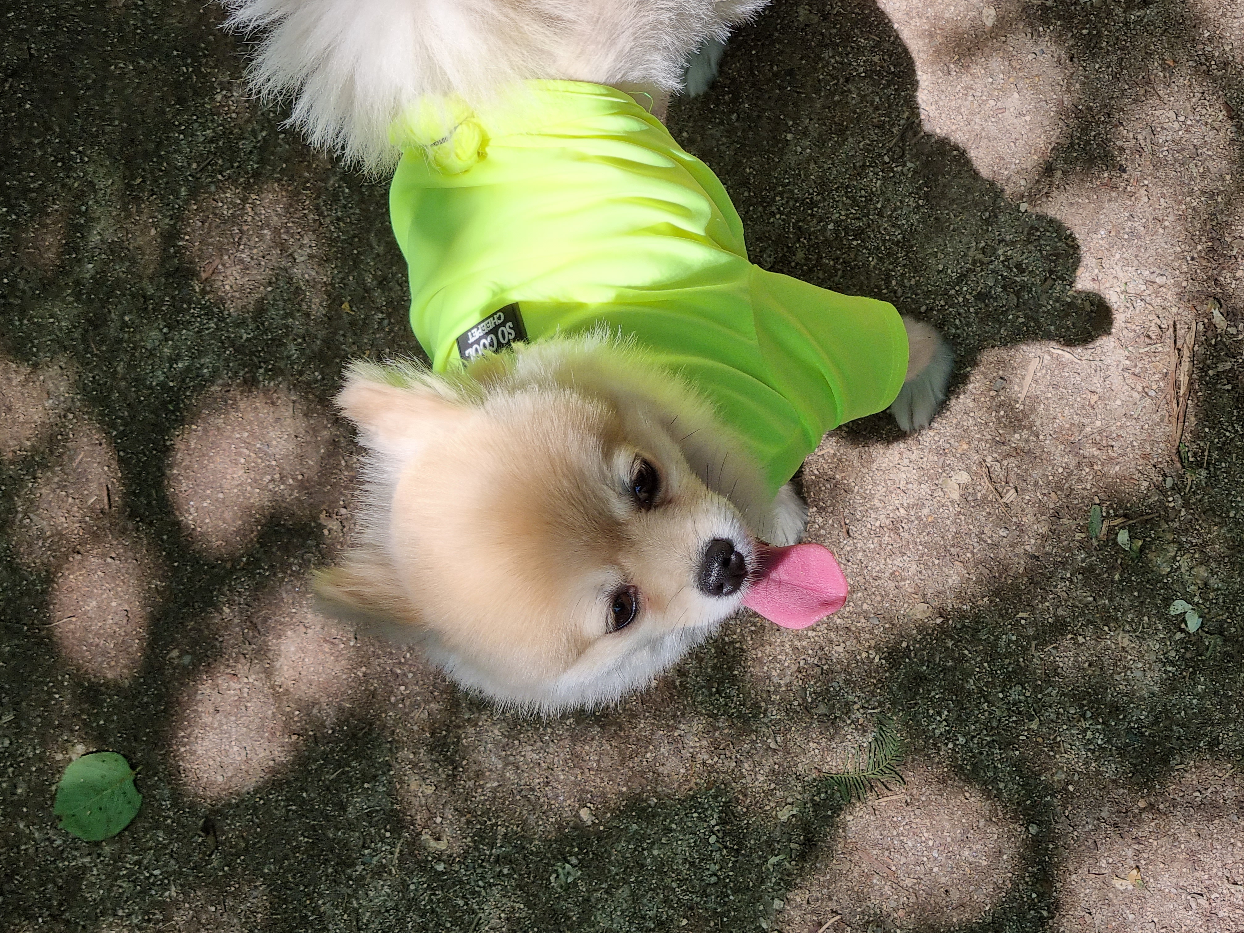 달이(온새)의 3개월차 이야기~♡