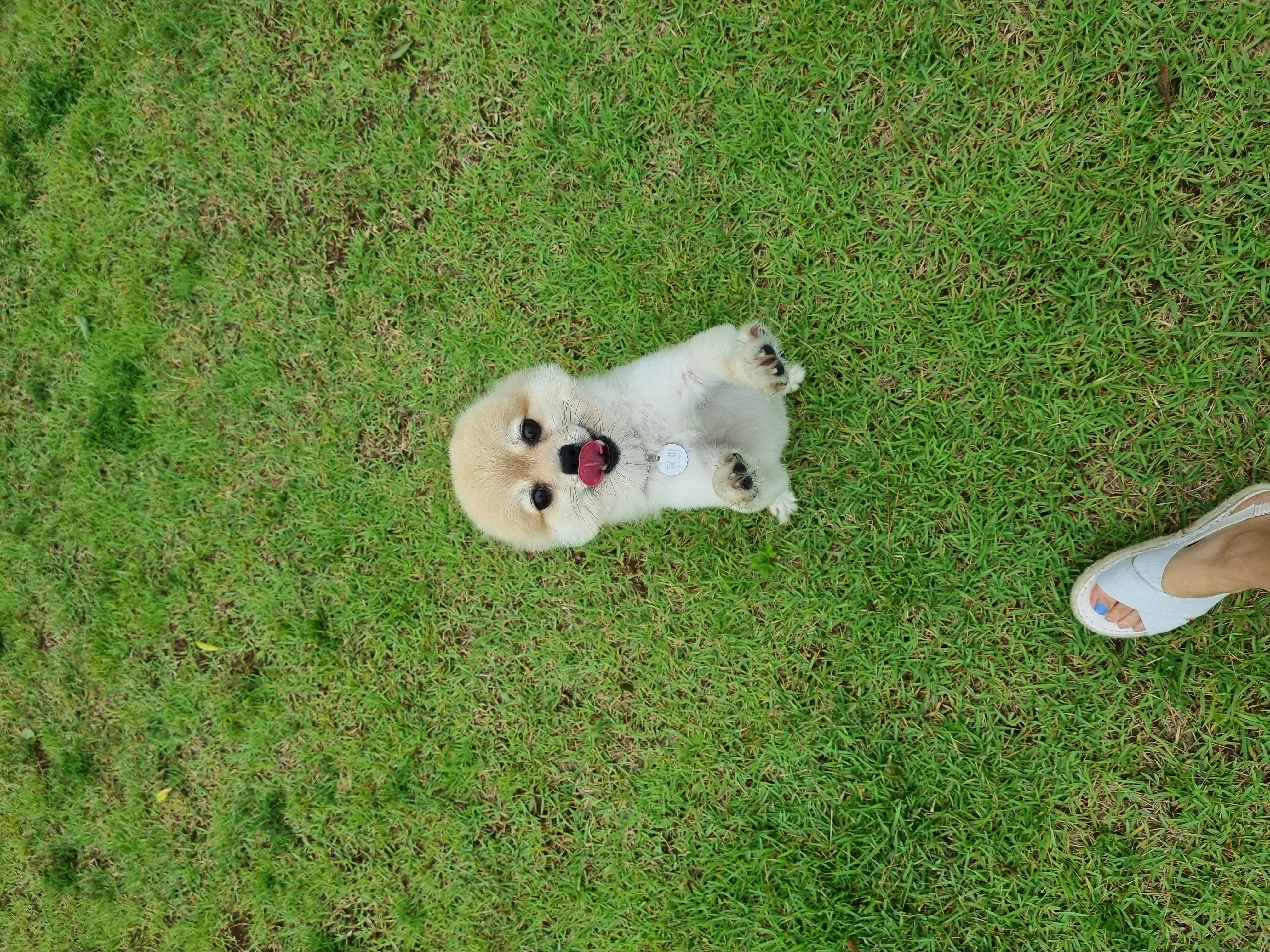 달이(온새)의 3개월차 이야기~♡