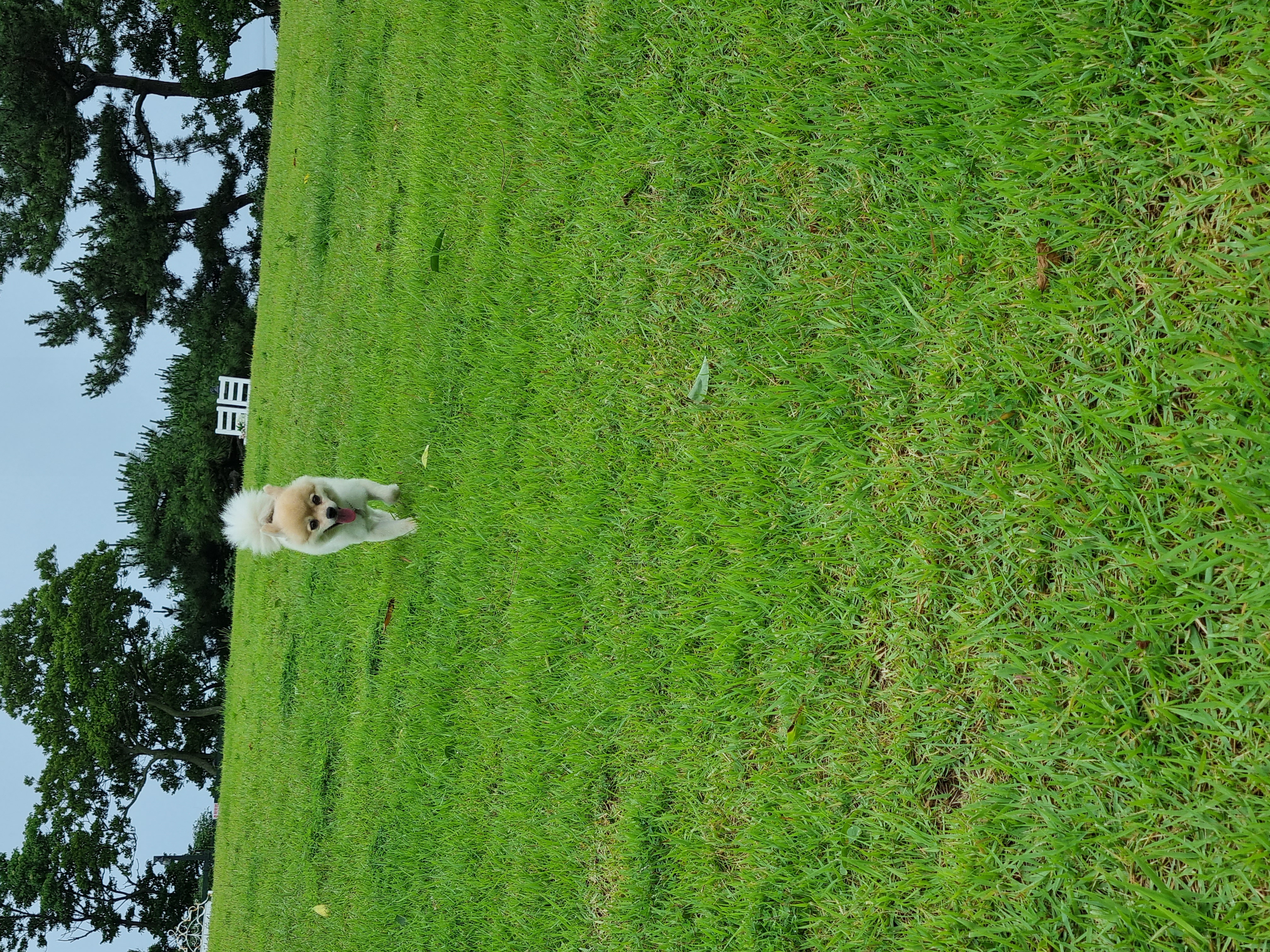 달이(온새)의 3개월차 이야기~♡