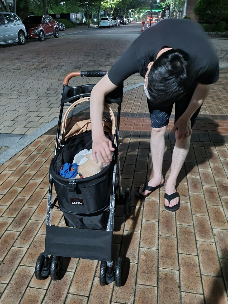 육곤이(레이)  입양 한달후기