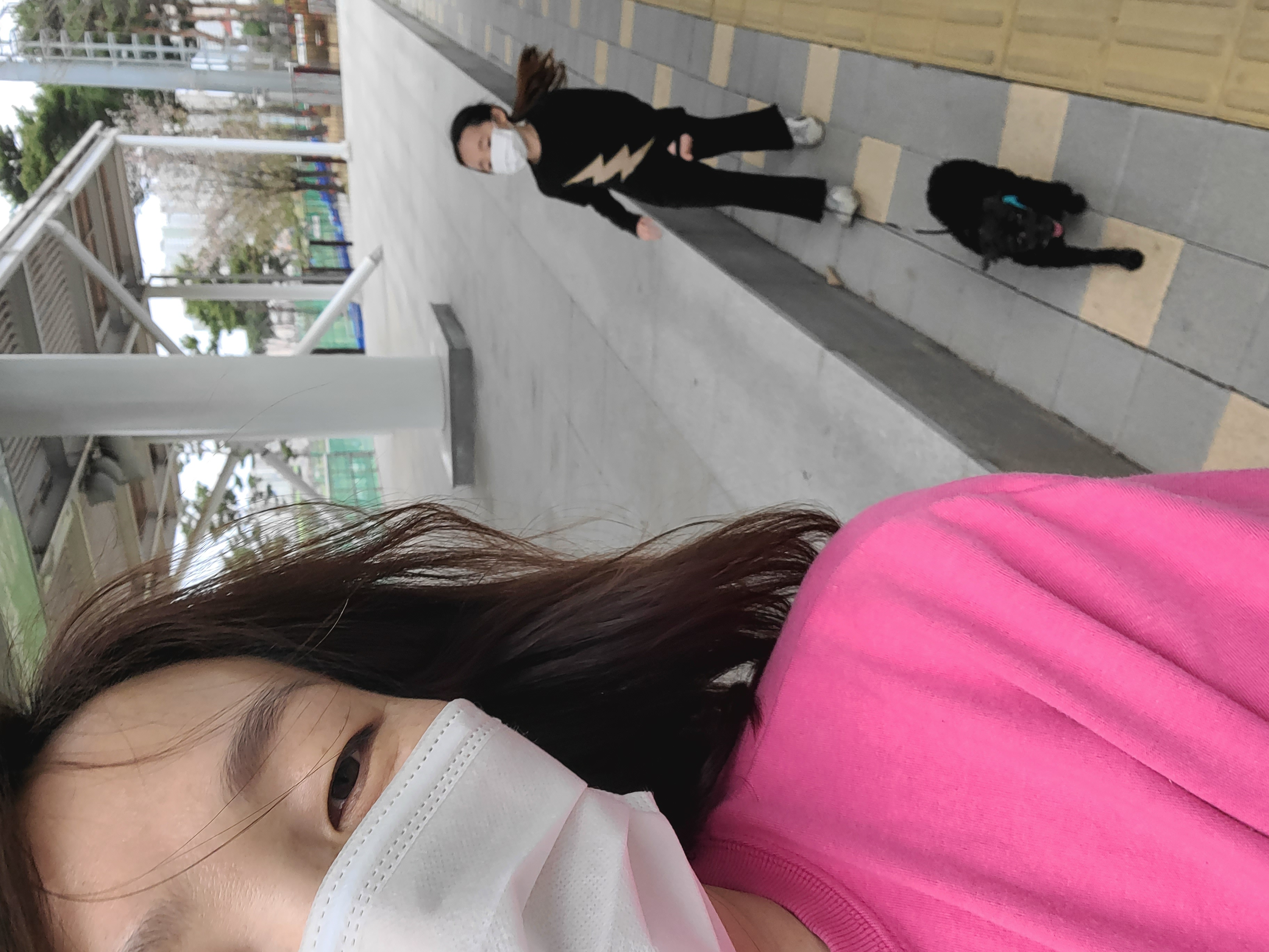 뽀송이 입양3개월후