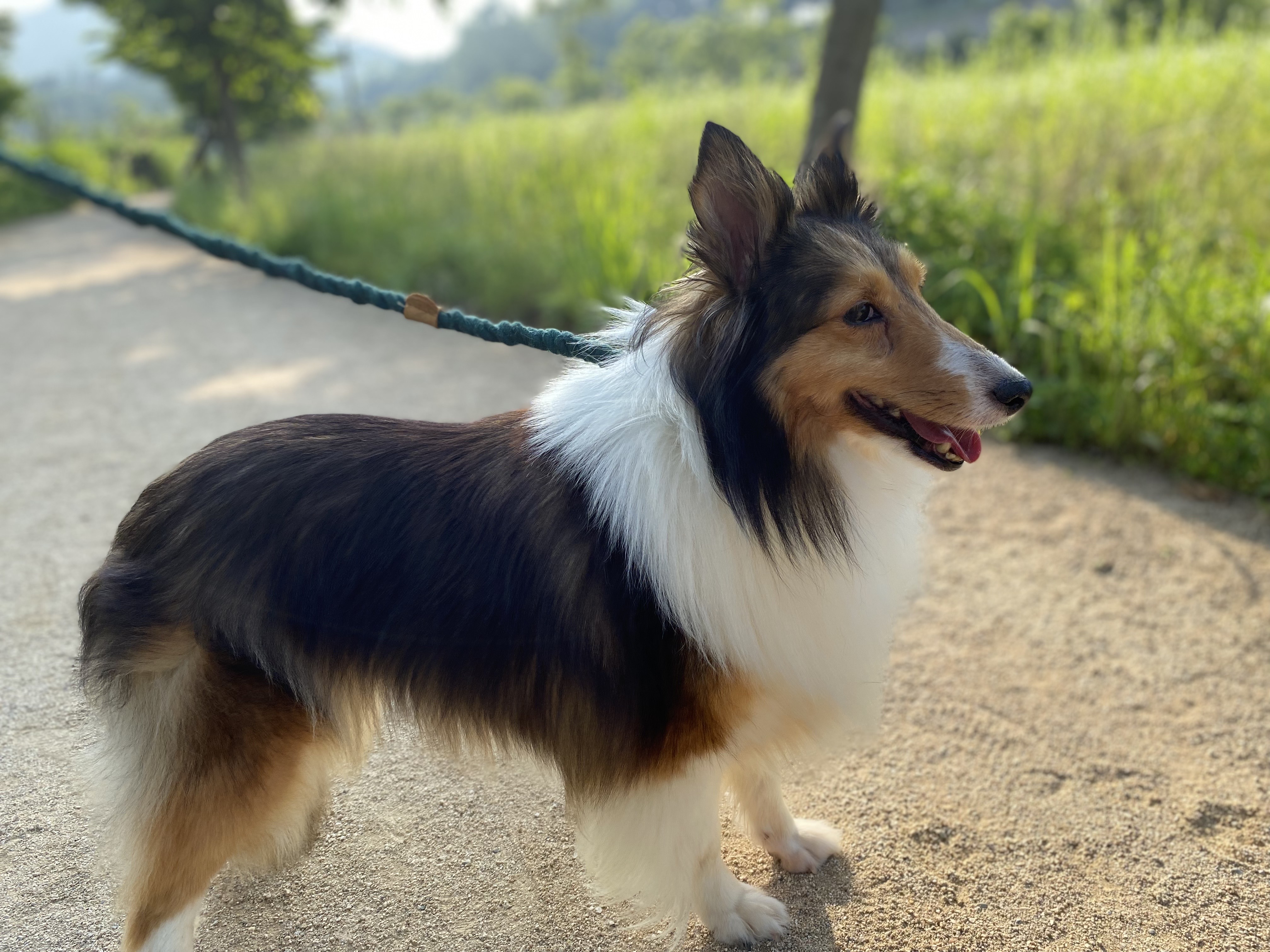 우리 보미(구 셀리) 3달 후기~