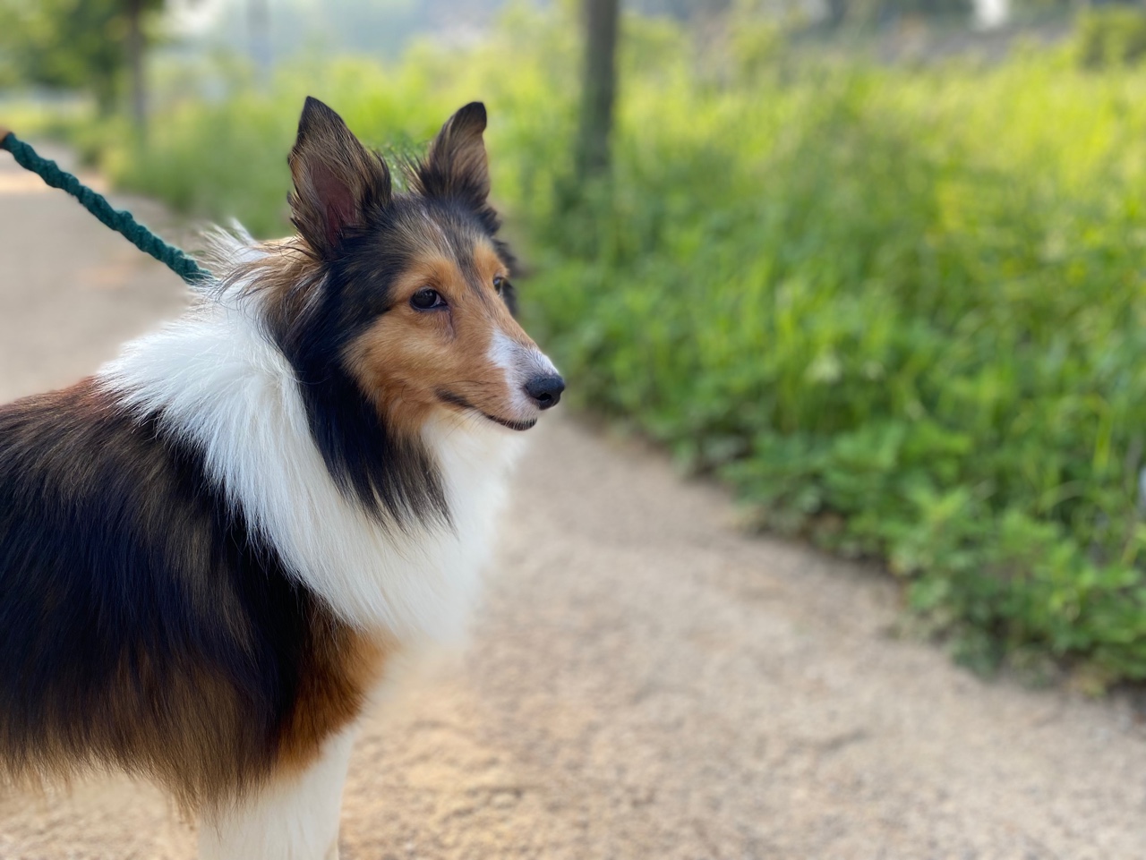 우리 보미(구 셀리) 3달 후기~