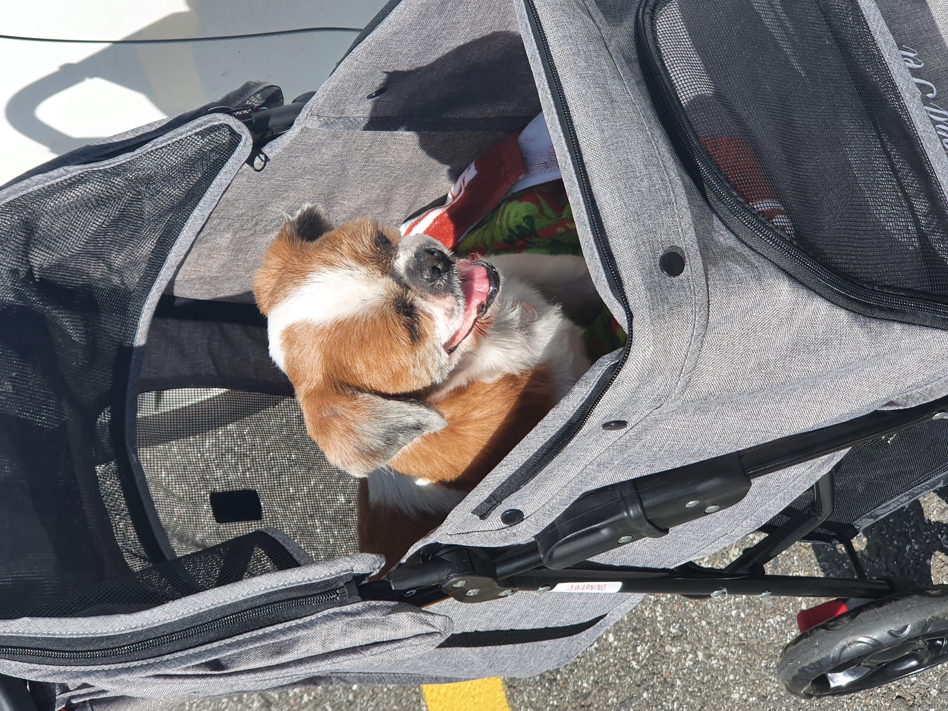 새 차 뽑은 포동이. 누나네로의 나들이. 