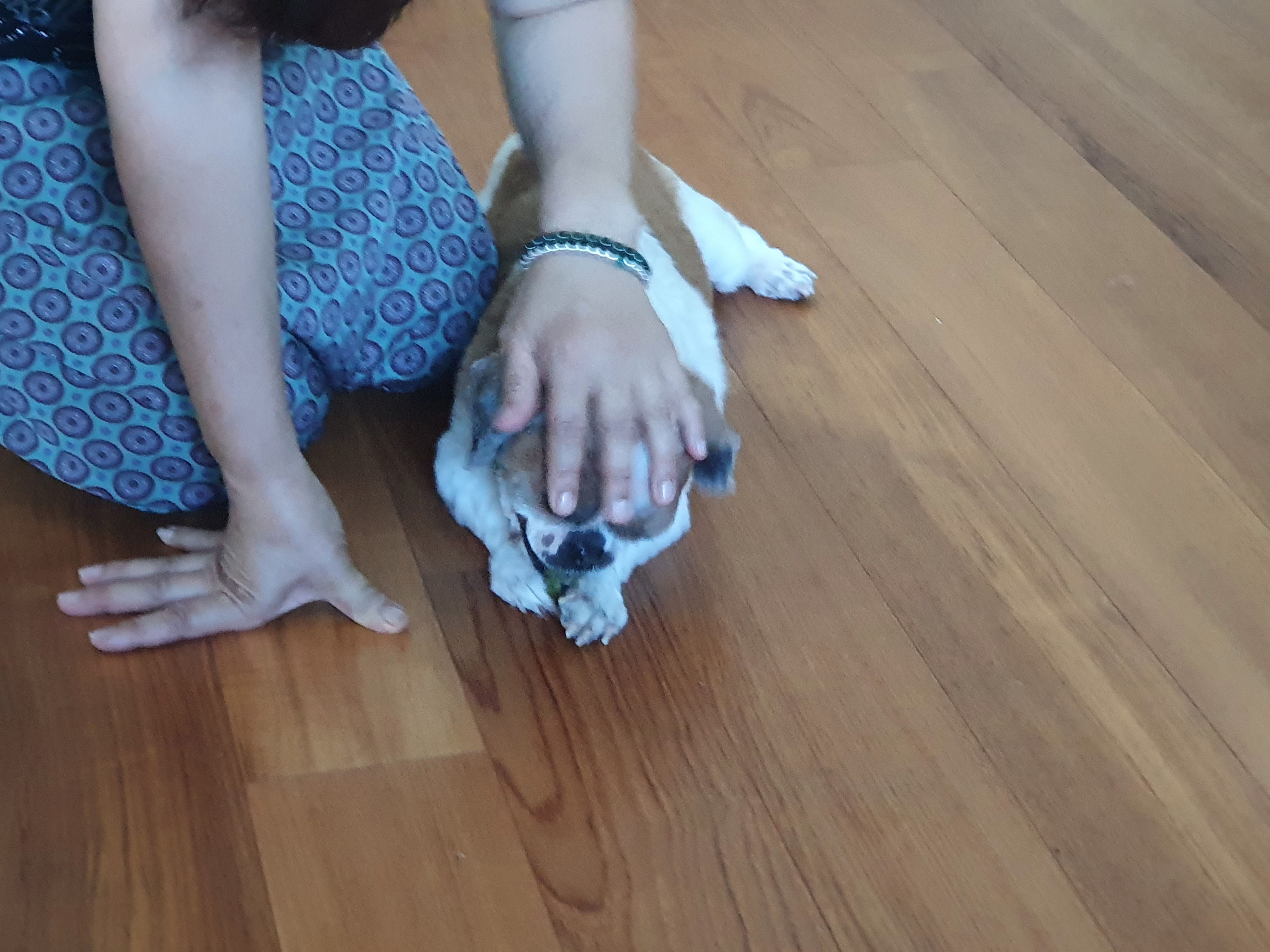 새 차 뽑은 포동이. 누나네로의 나들이. 