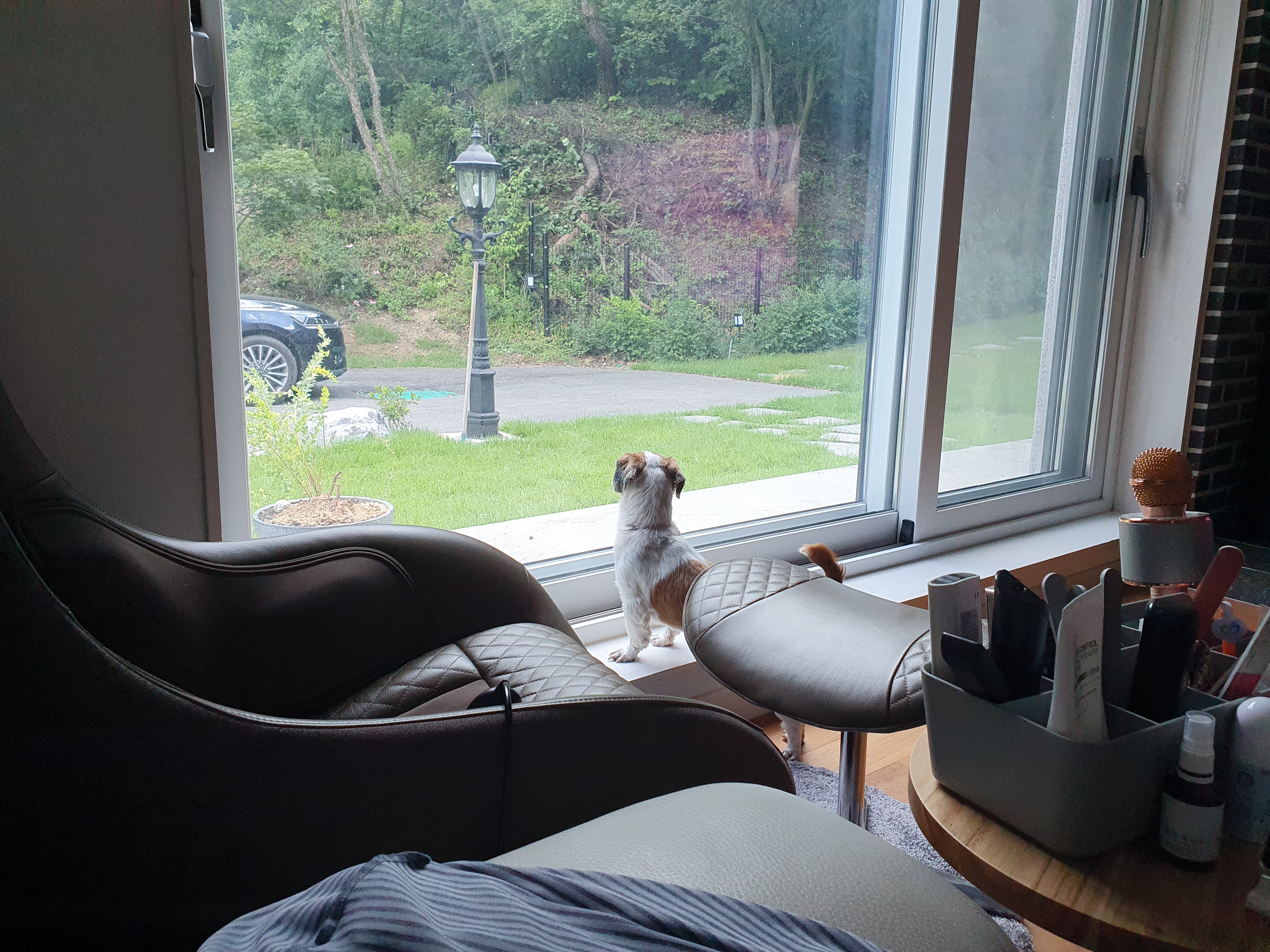 새 차 뽑은 포동이. 누나네로의 나들이. 