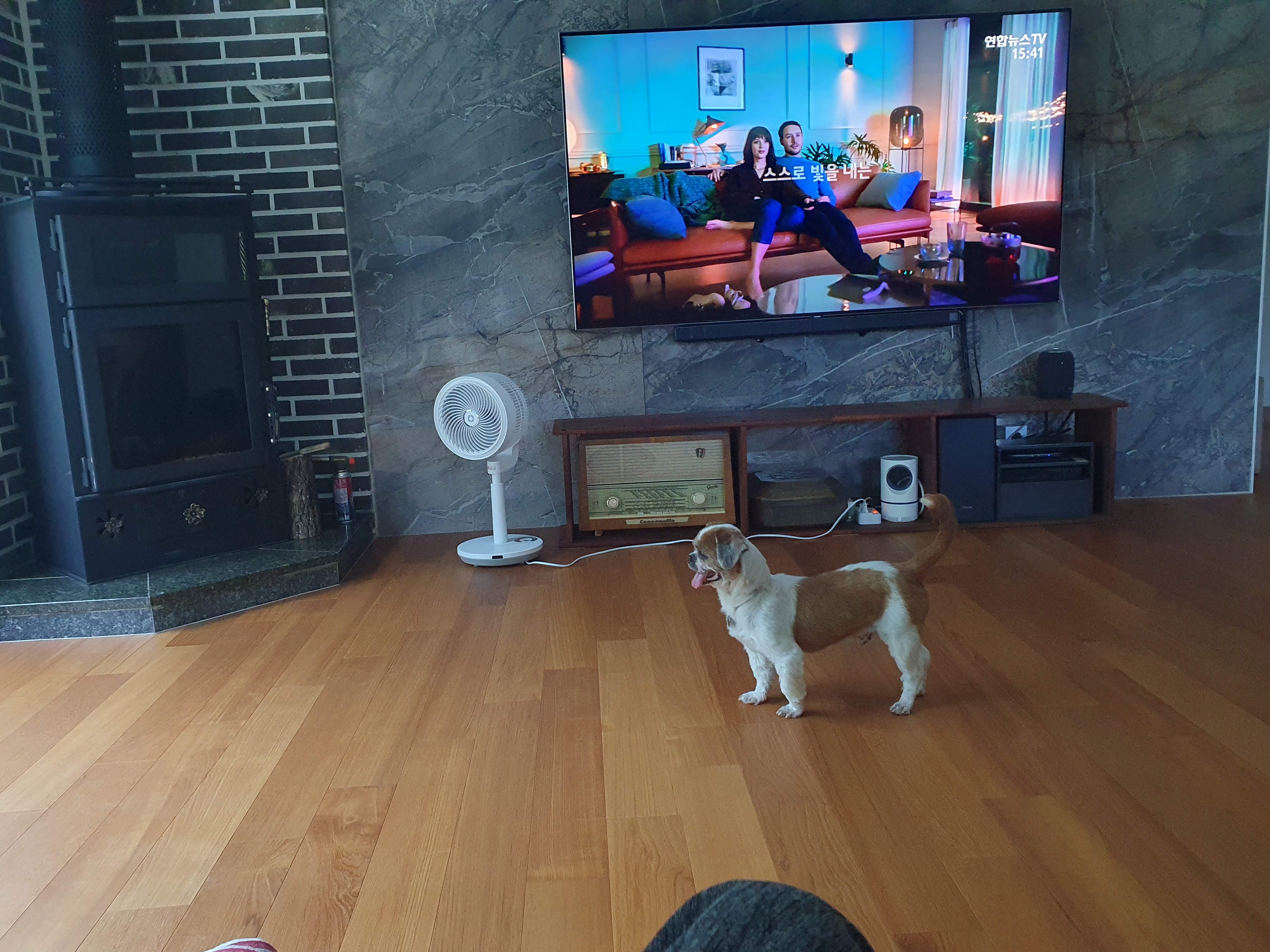 새 차 뽑은 포동이. 누나네로의 나들이. 