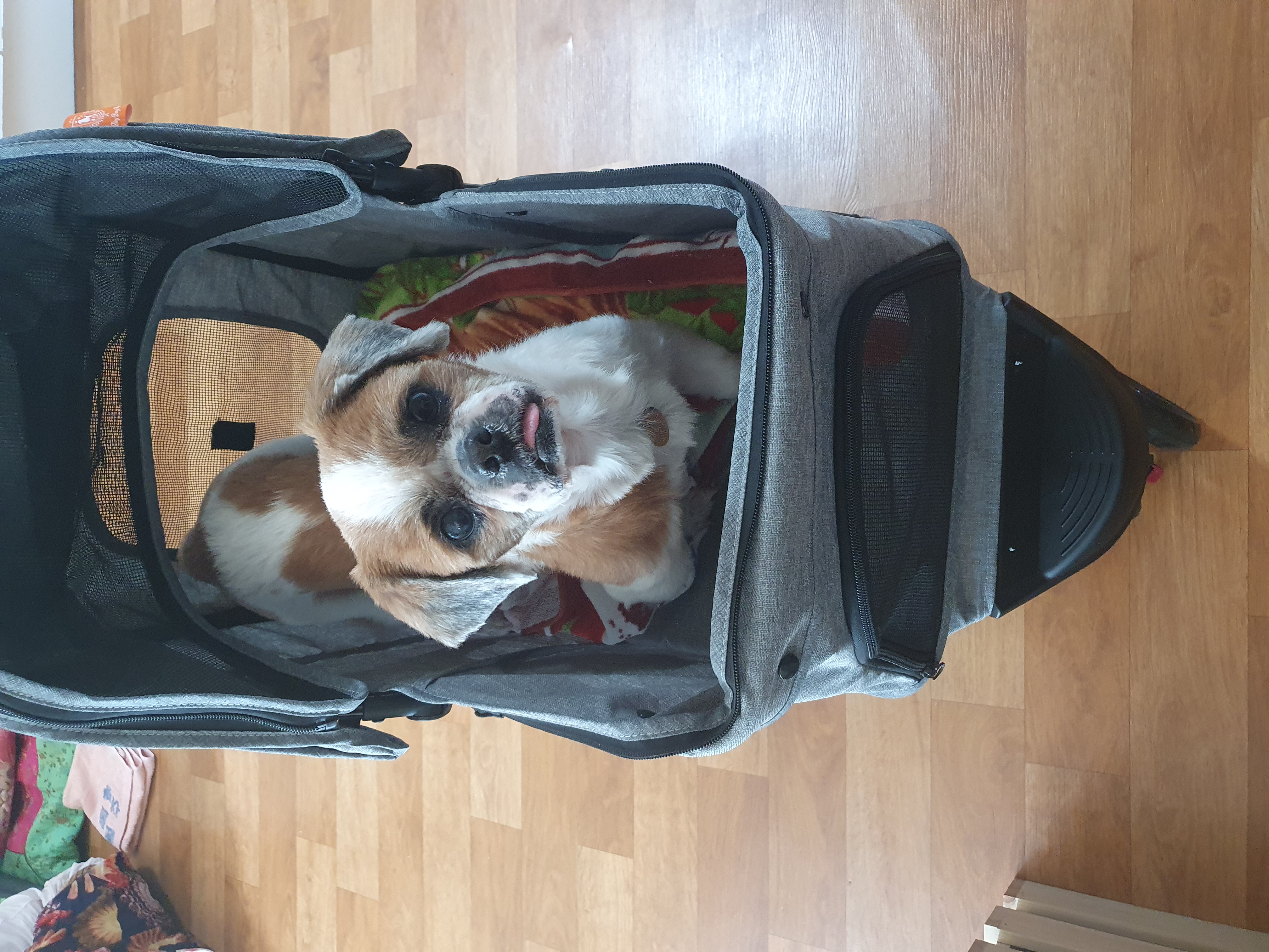 새 차 뽑은 포동이. 누나네로의 나들이. 