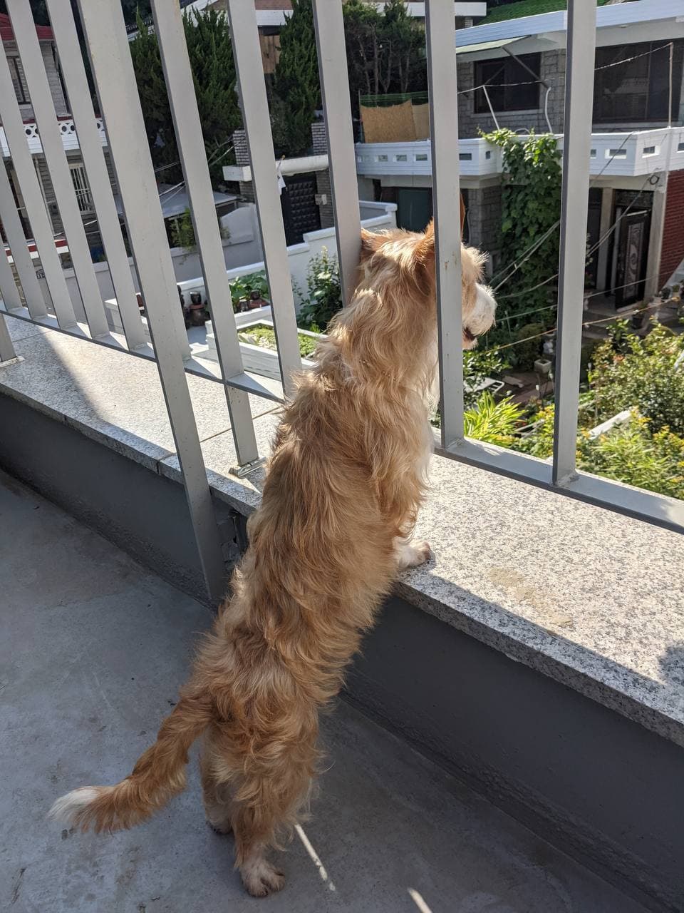 엘리사가 찾아온지 일주일이 되었고, 저와 엘리사 모두 변하고 있습니다. 