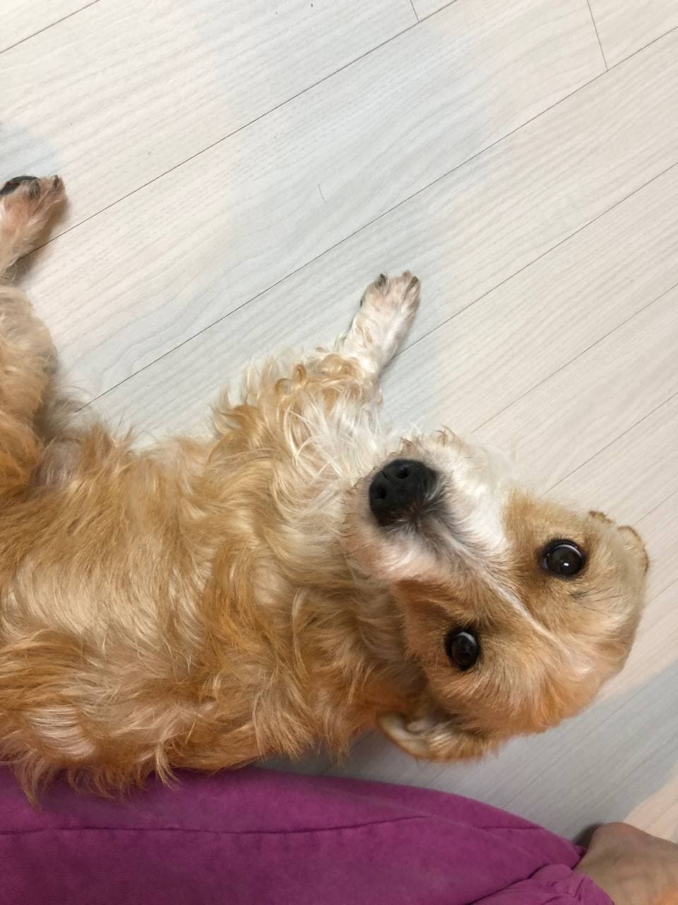 엘리사가 찾아온지 일주일이 되었고, 저와 엘리사 모두 변하고 있습니다. 