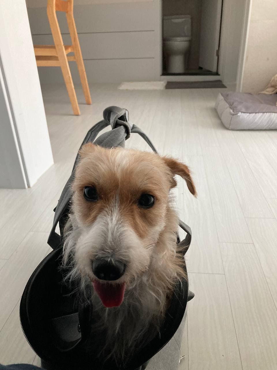 엘리사가 찾아온지 일주일이 되었고, 저와 엘리사 모두 변하고 있습니다. 