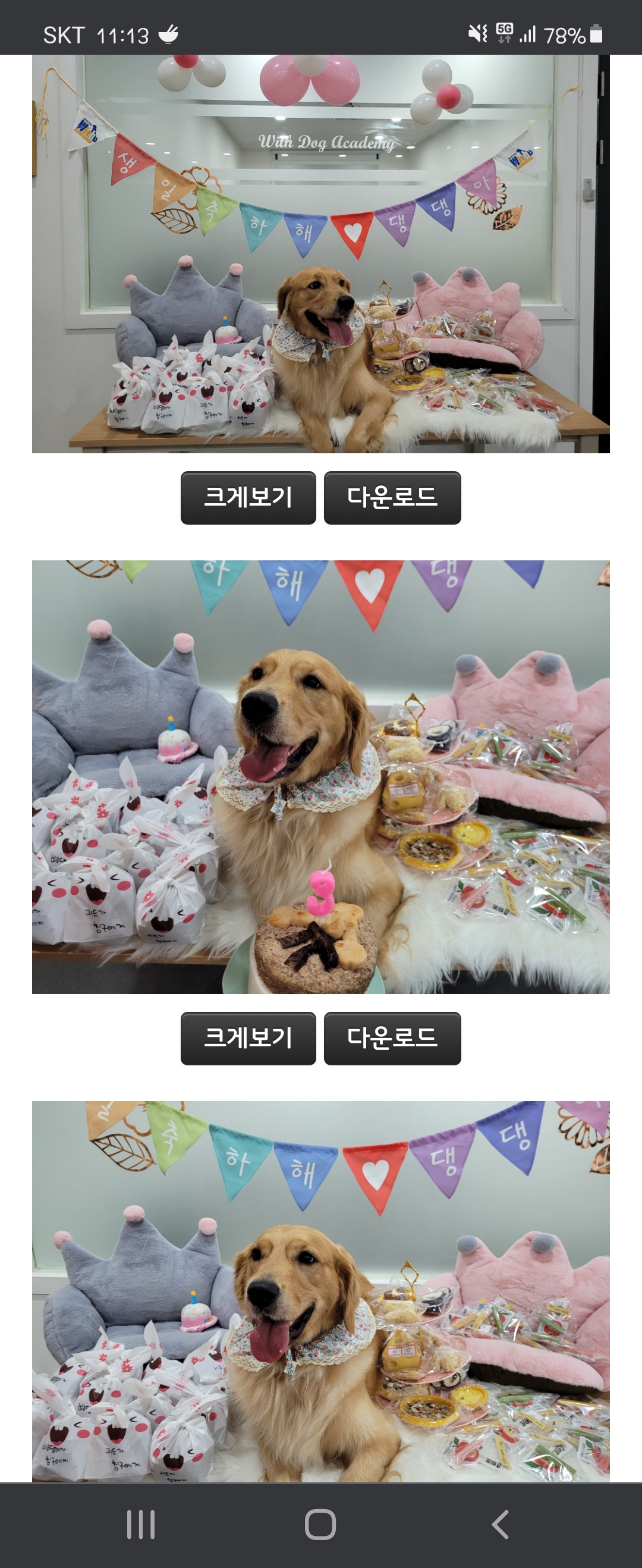 고양 다오입니다^^