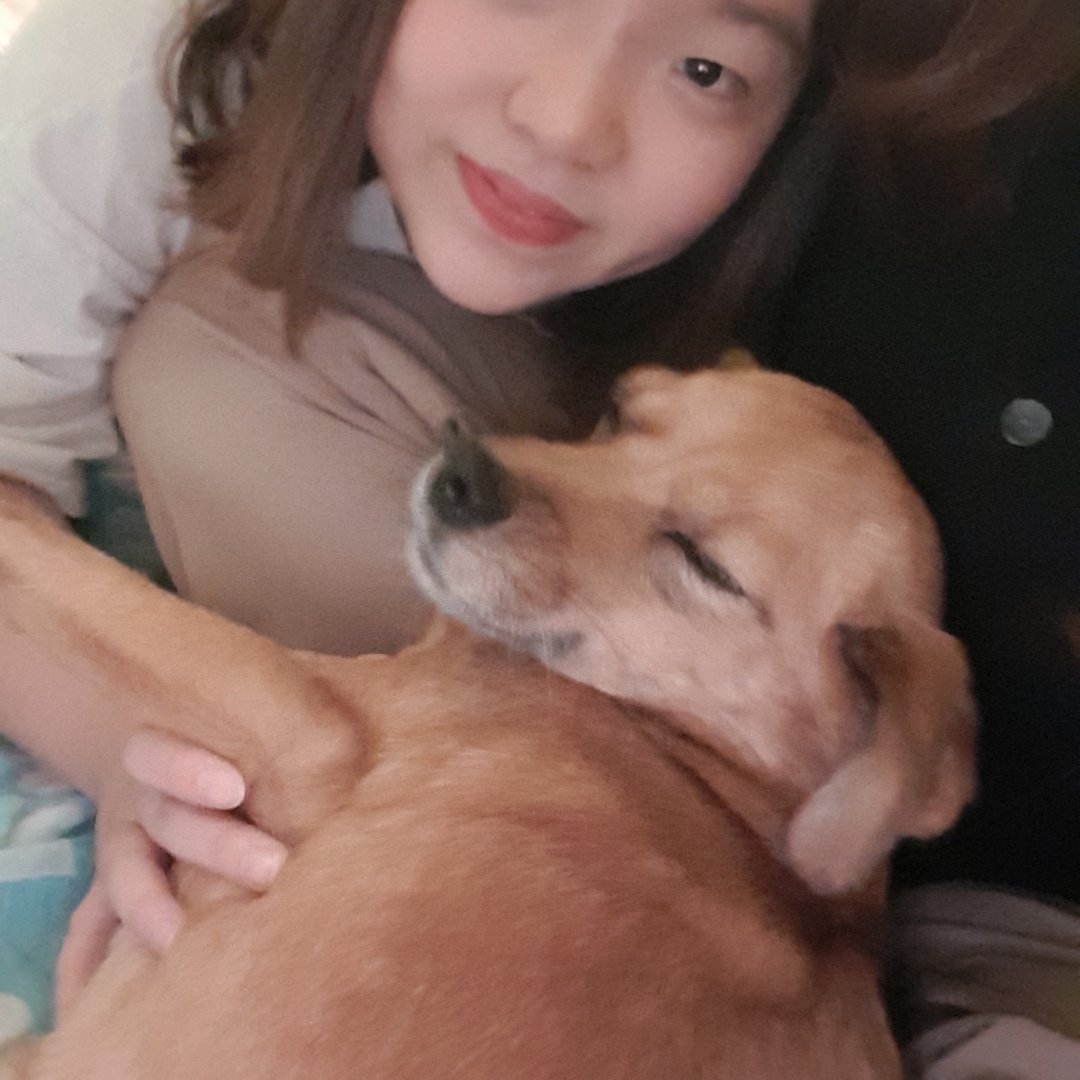 도담이 입양 1년하고도 2달이 지났어요^^