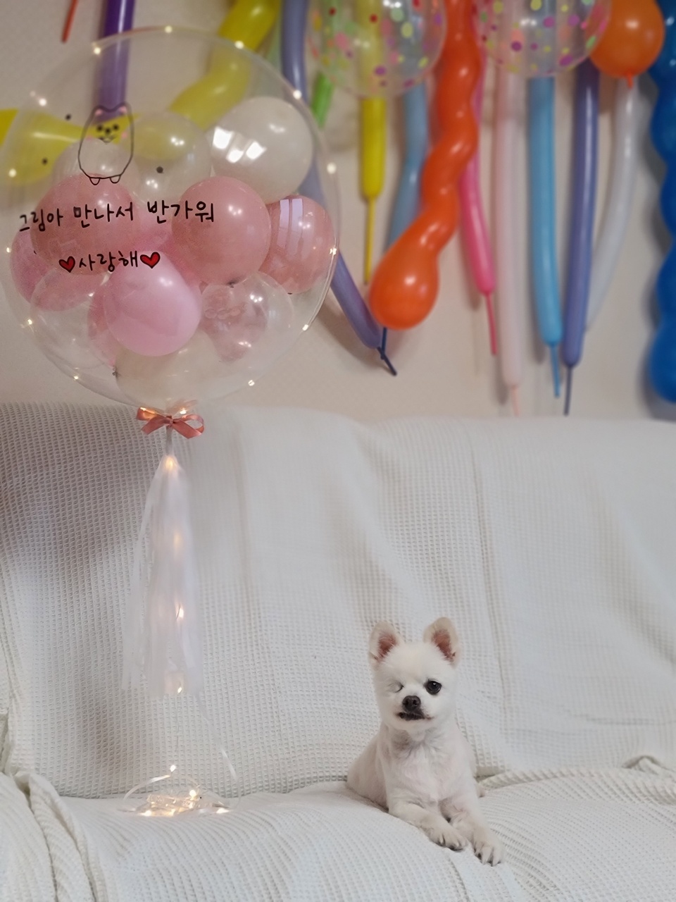 우주최고 멍뭉이 그림이 입양한 지 벌써 한달이 넘었어요