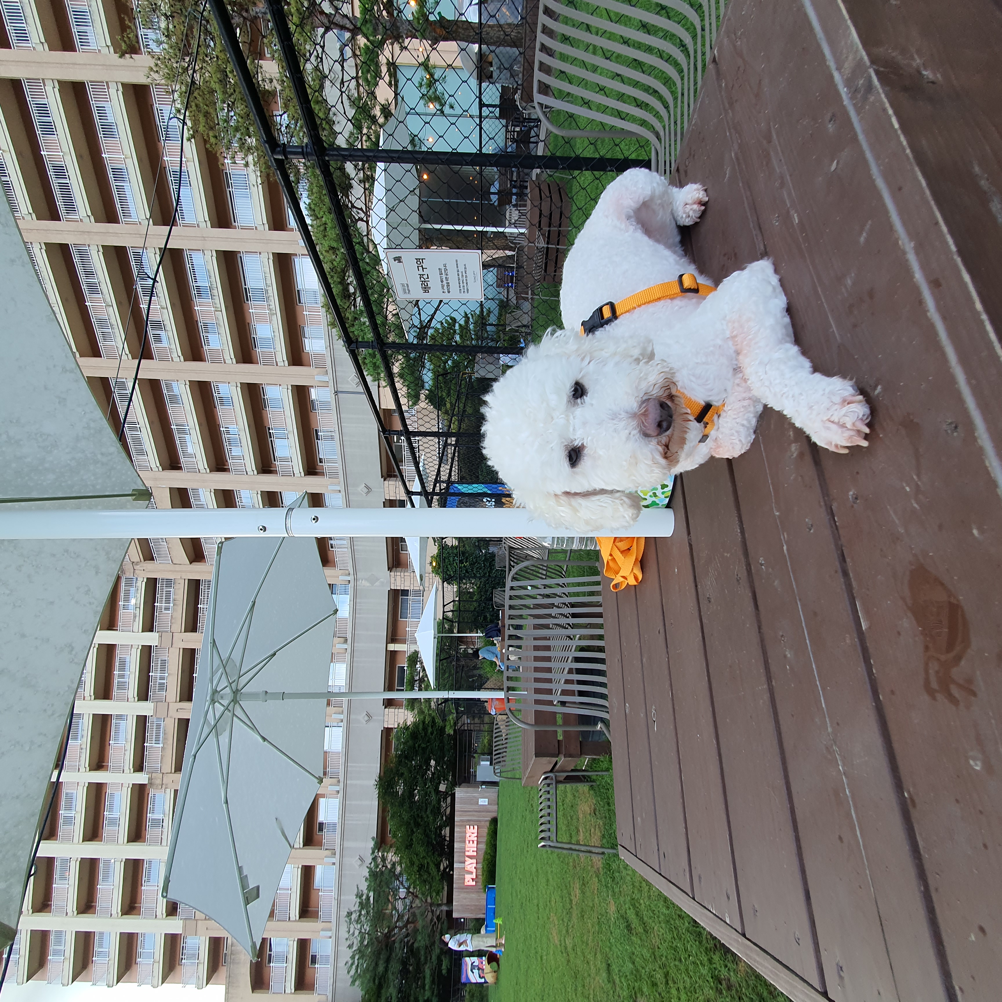 곤지암 레일이 2달 후기 ( 현 : 최고다 )