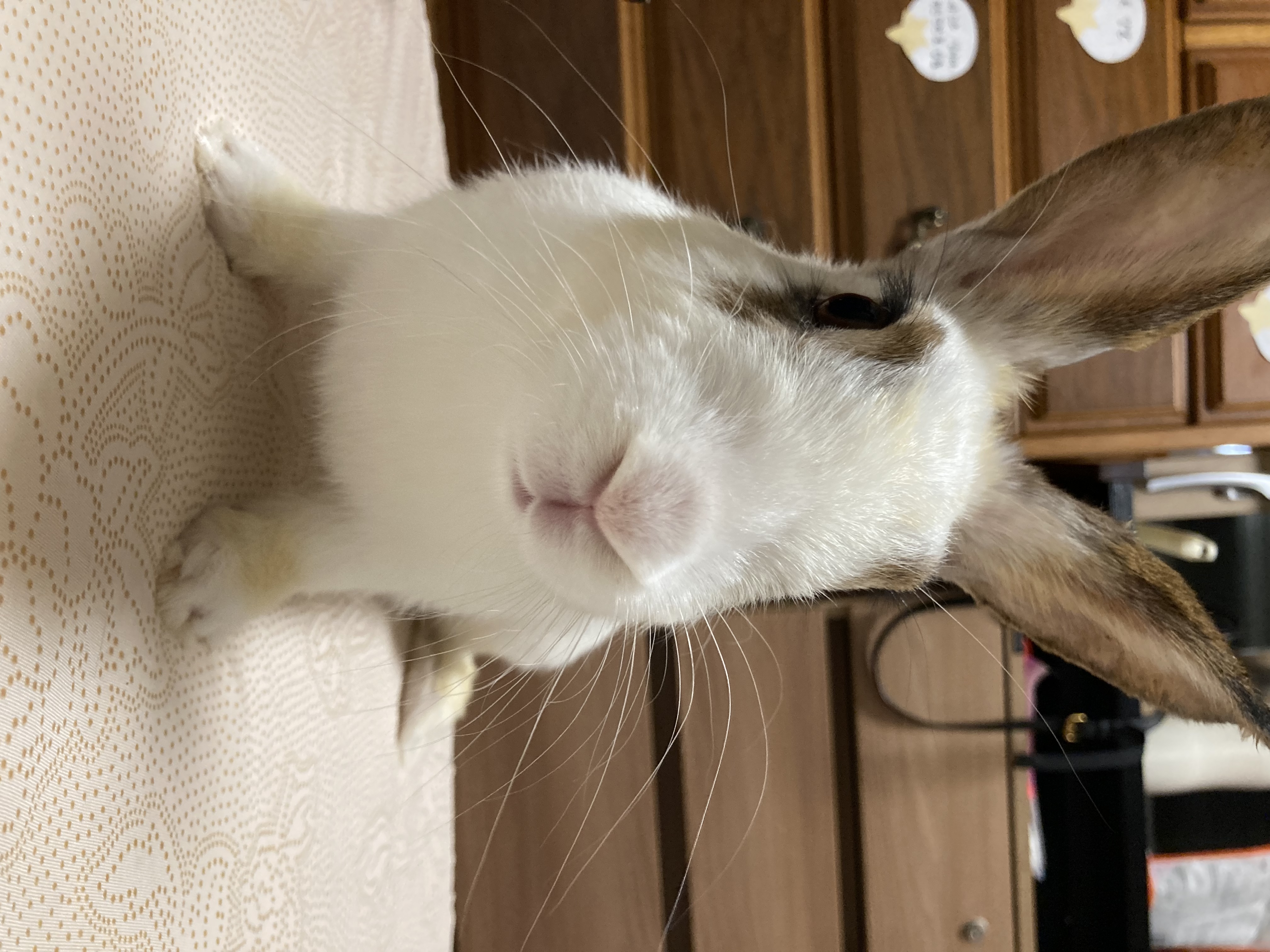 행복아, 이대로 영원히 행복하자!