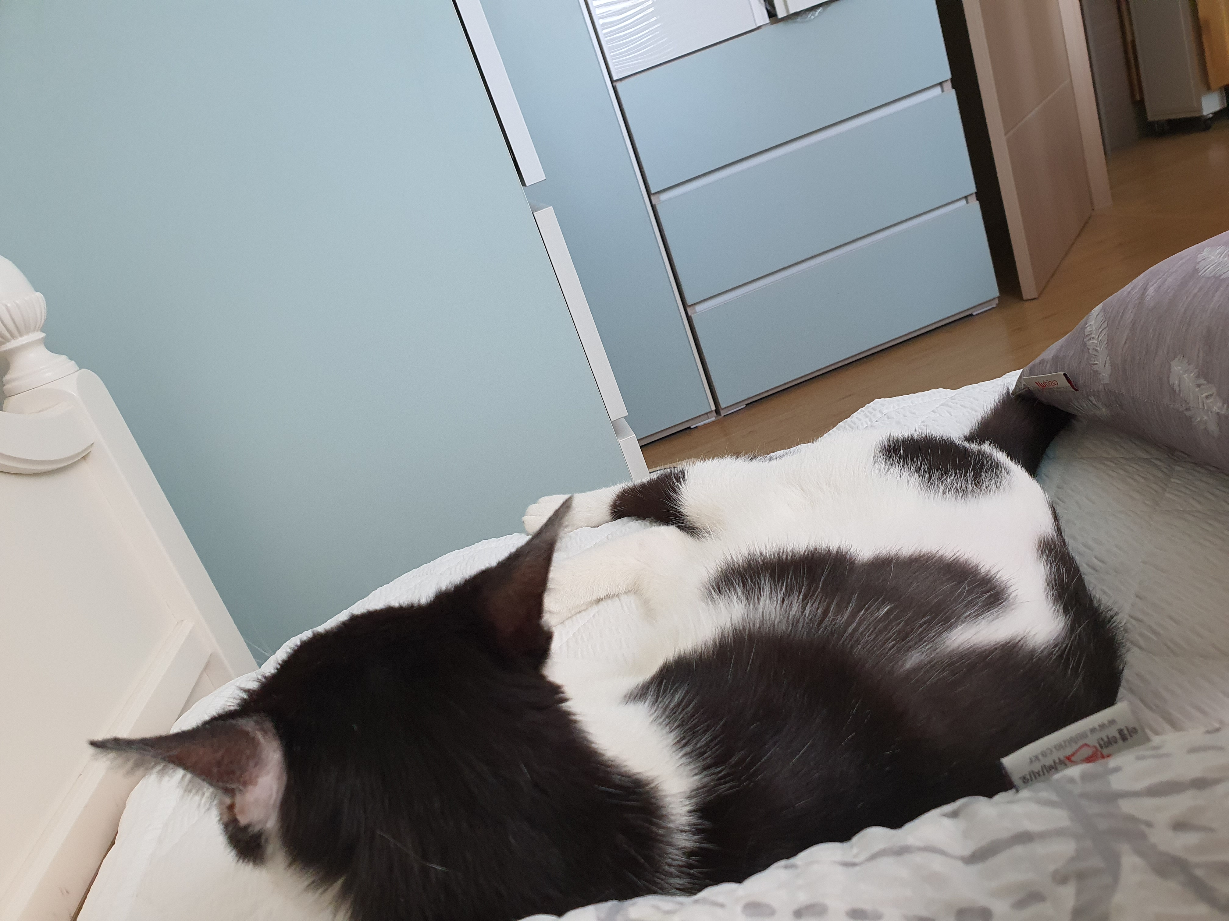 새싹이 이제 곧 한달되가네요(구조자님 답글잘봤습니다!!)