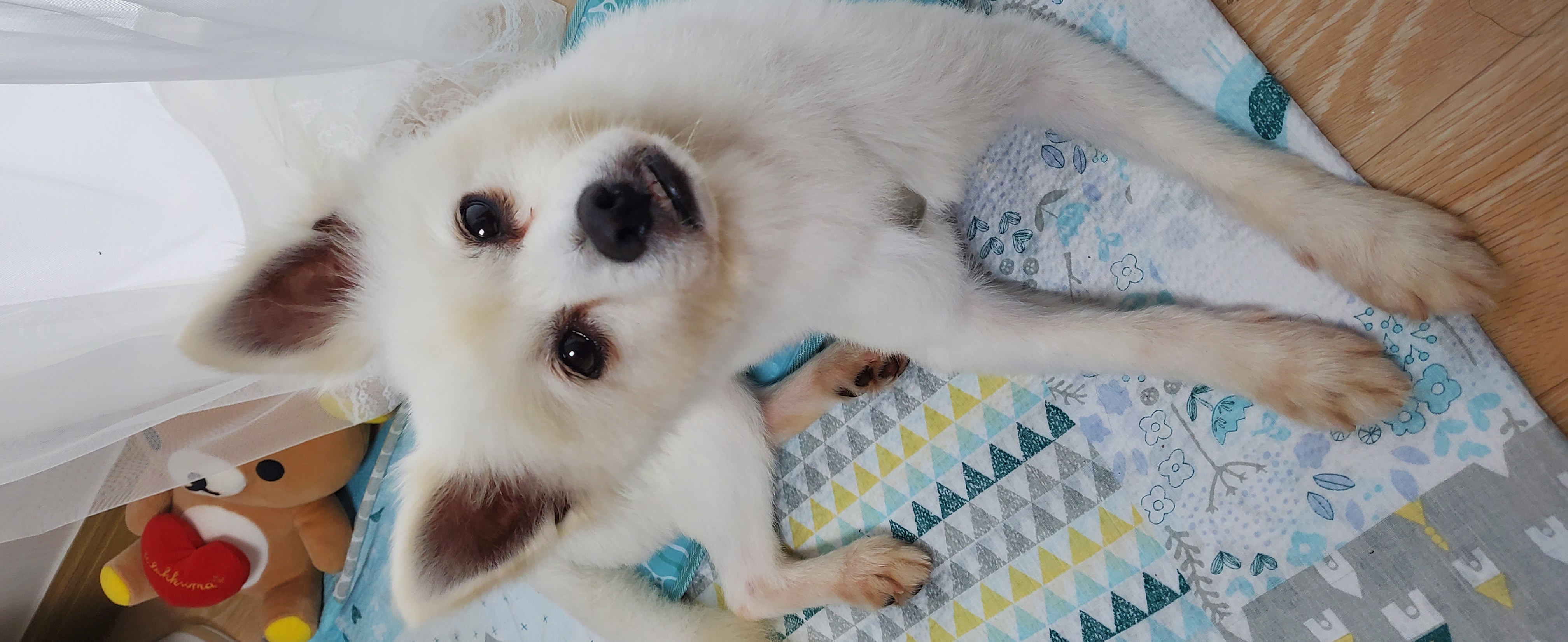 곤지암 달밤이 7일째